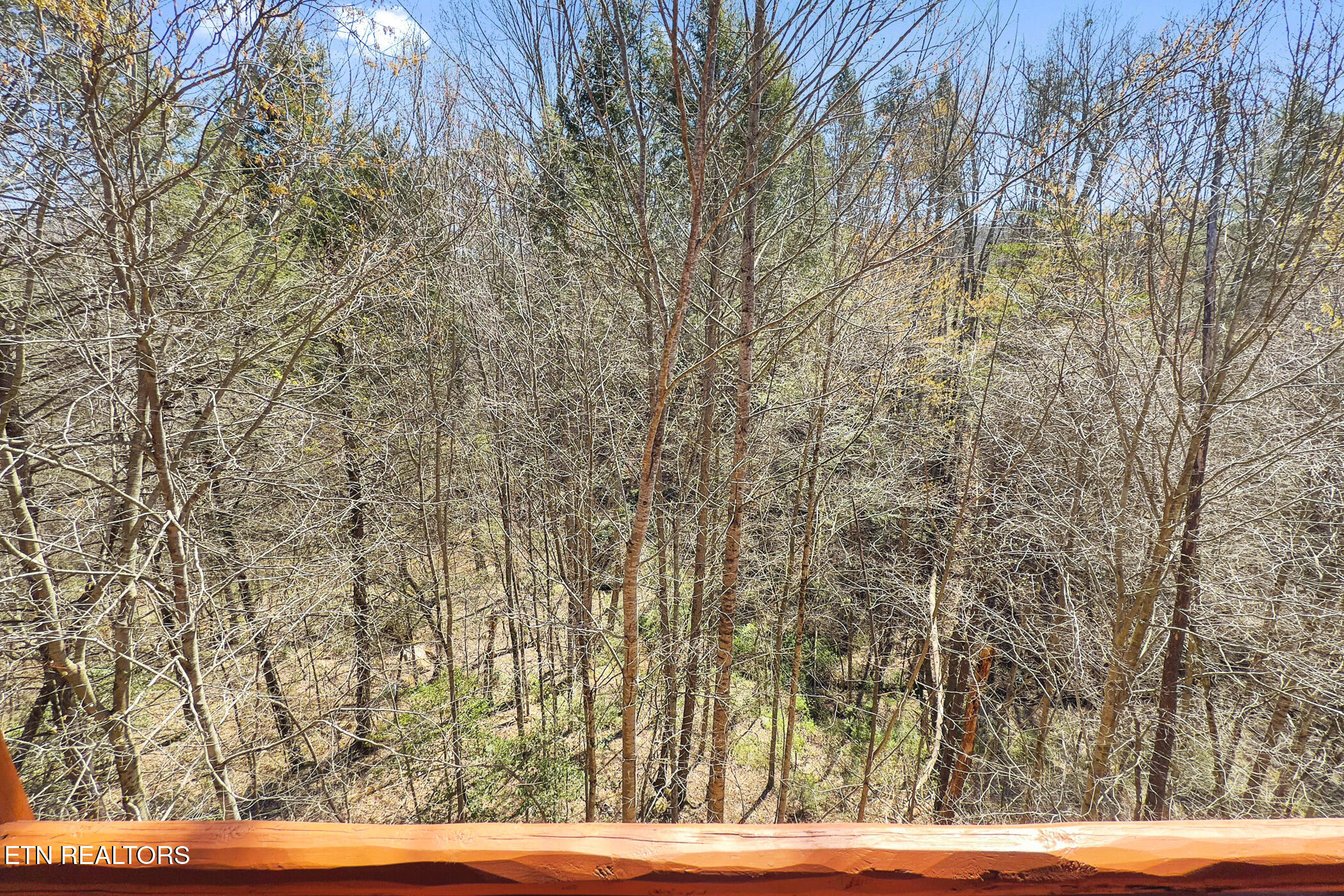 4355 Forest Ridge Way Pigeon Forge TN 37863
