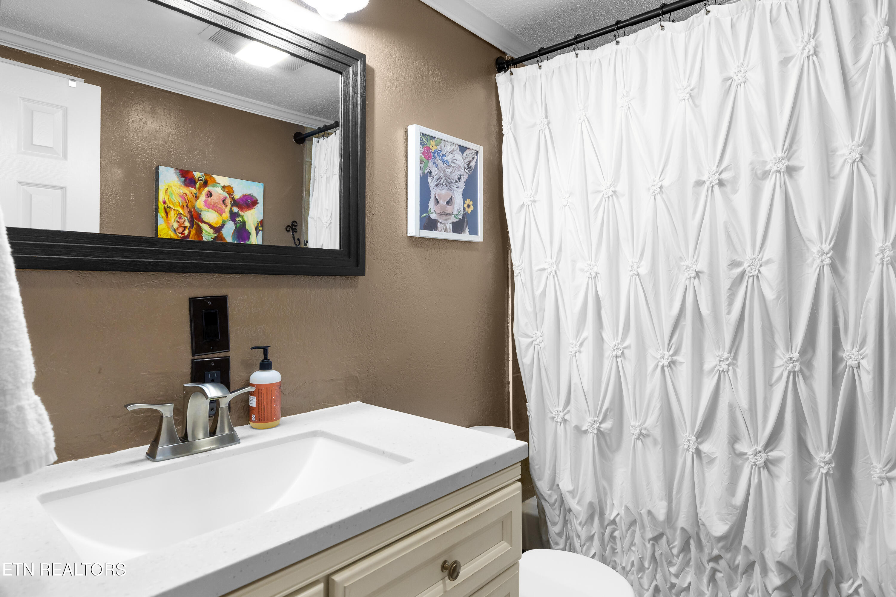 3881 Richardson Cove Road Sevierville TN 37876