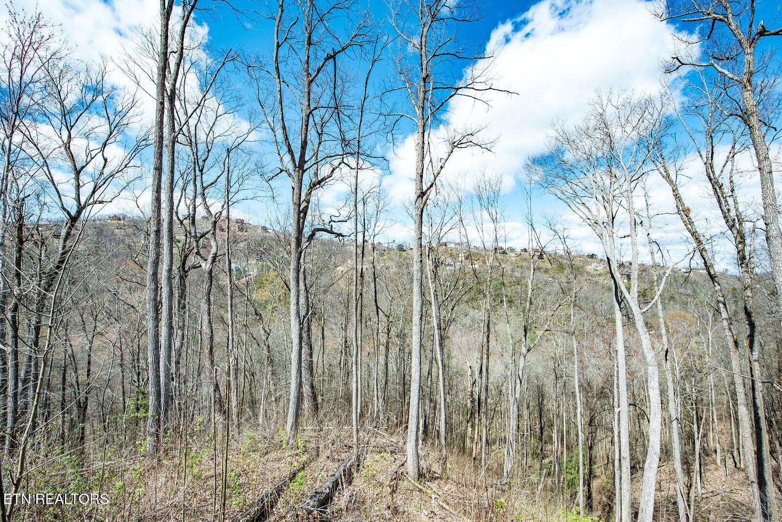 921 Statham Way Gatlinburg TN 37738