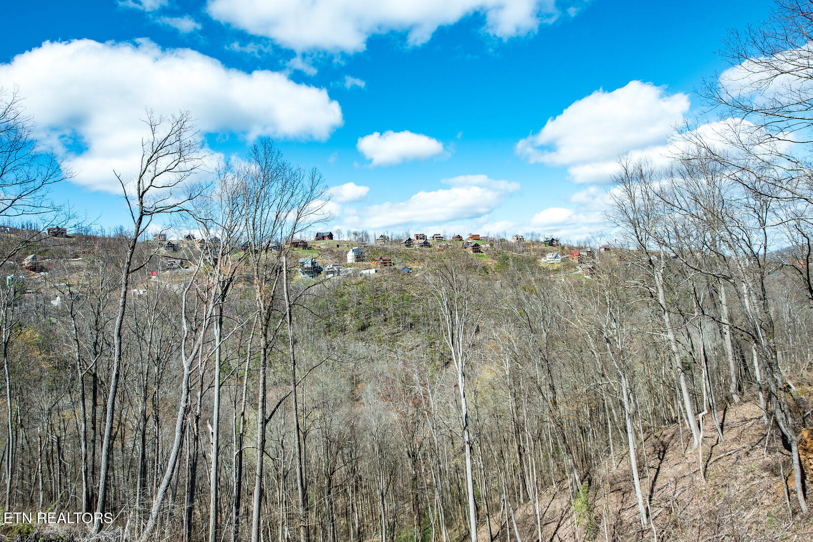 921 Statham Way Gatlinburg TN 37738