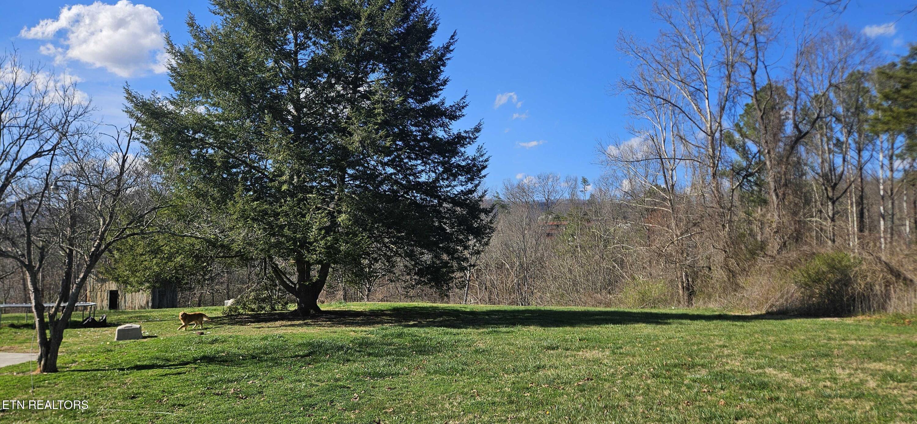 181 Camp Ridge Road Lafollette TN 37766