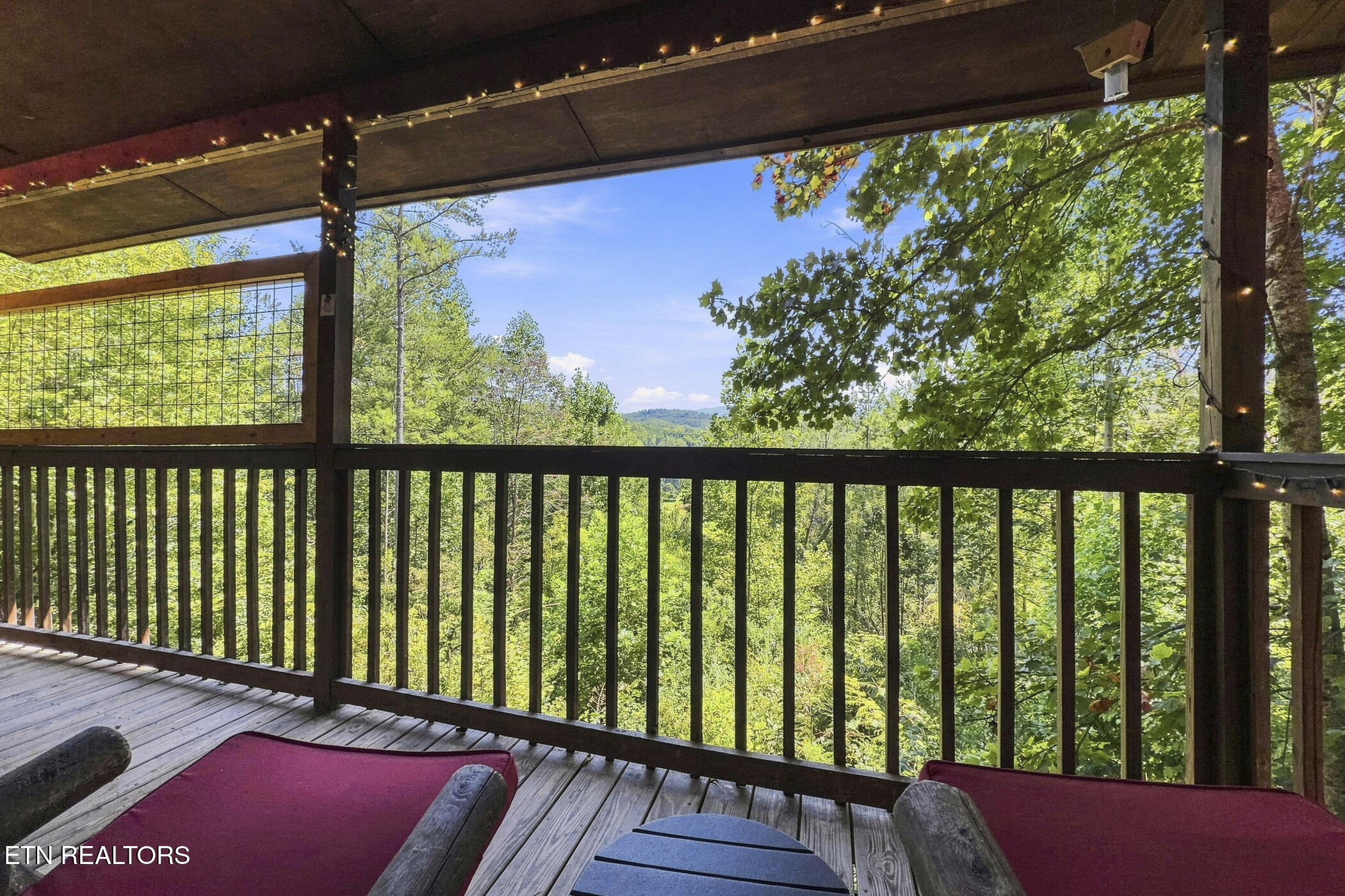 1935 Sb Ogle Lane Sevierville TN 37876