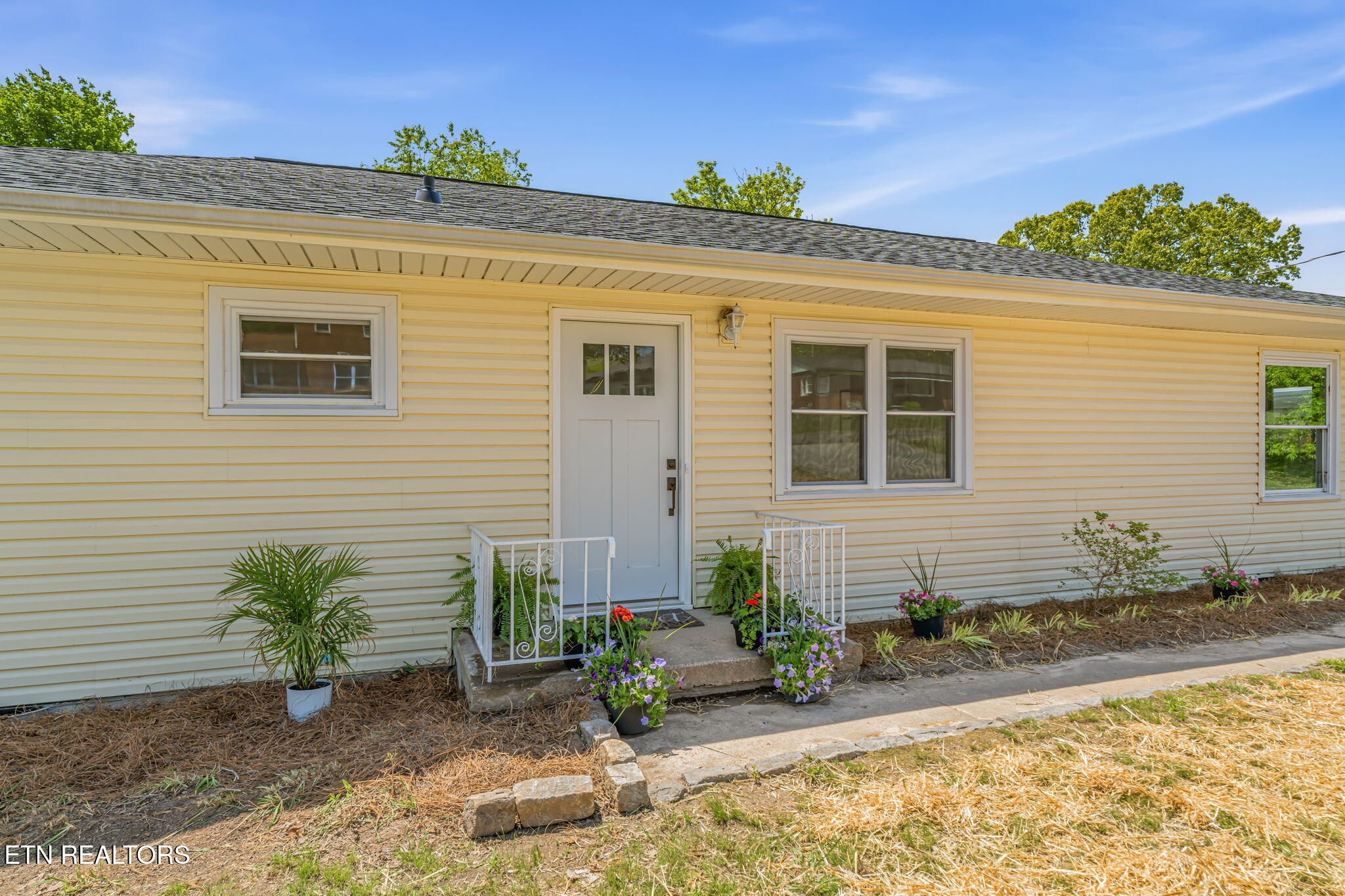 5317 Rowan Road Knoxville TN 37912