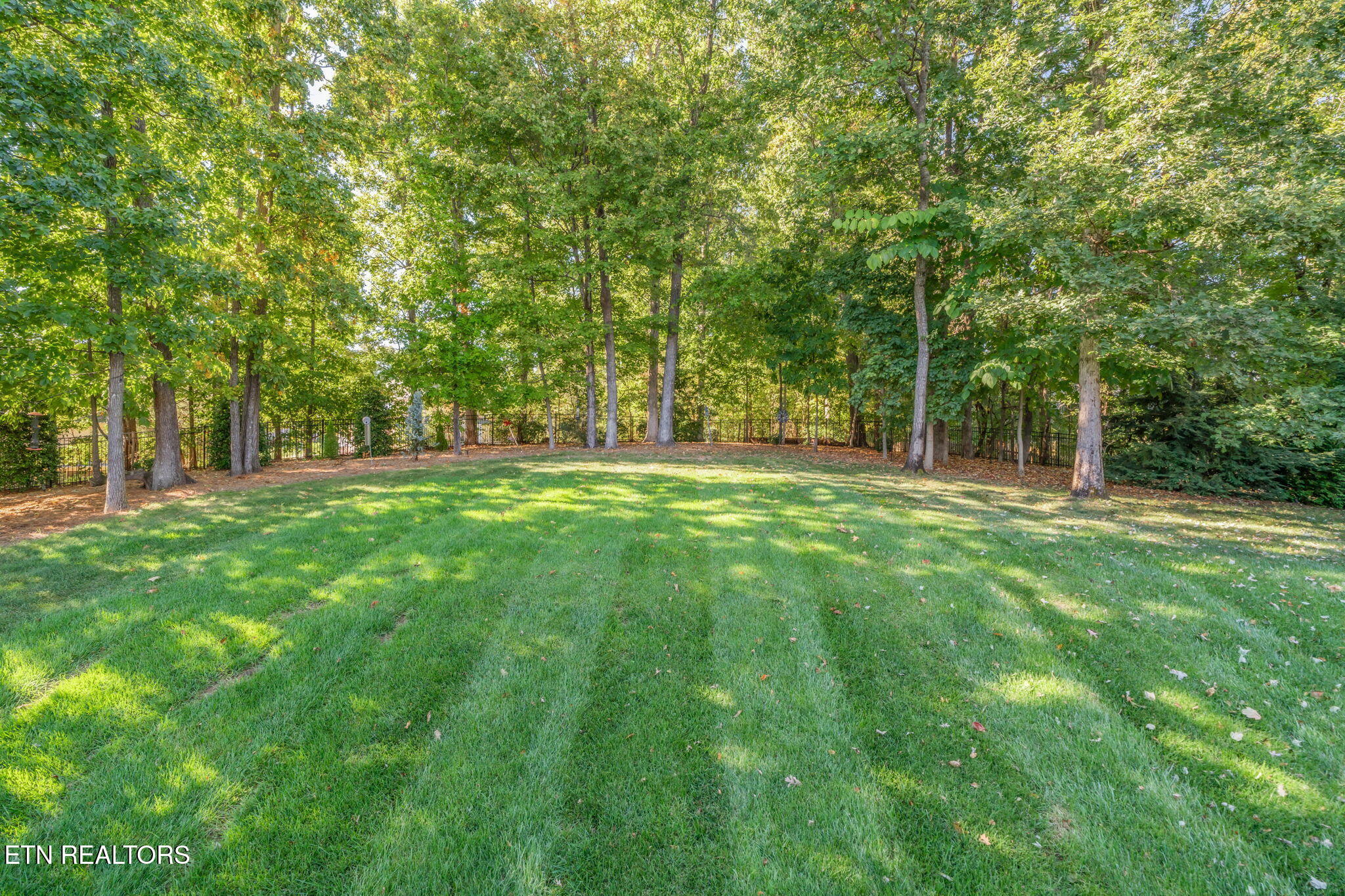 601 Blowing Rock Lane Knoxville TN 37922