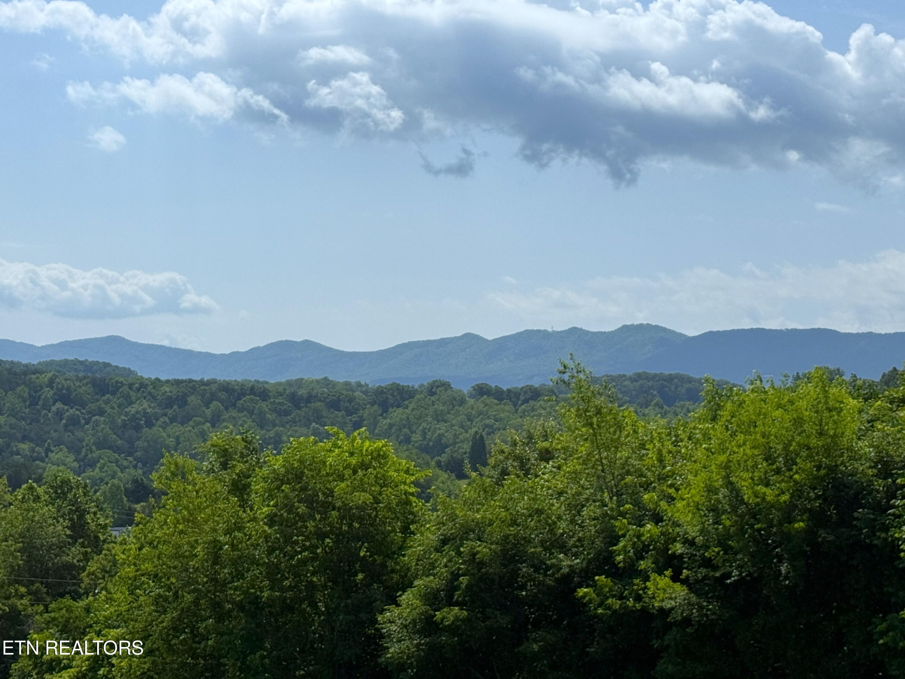 1066 Highland Meadows Way Parrottsville TN 37843