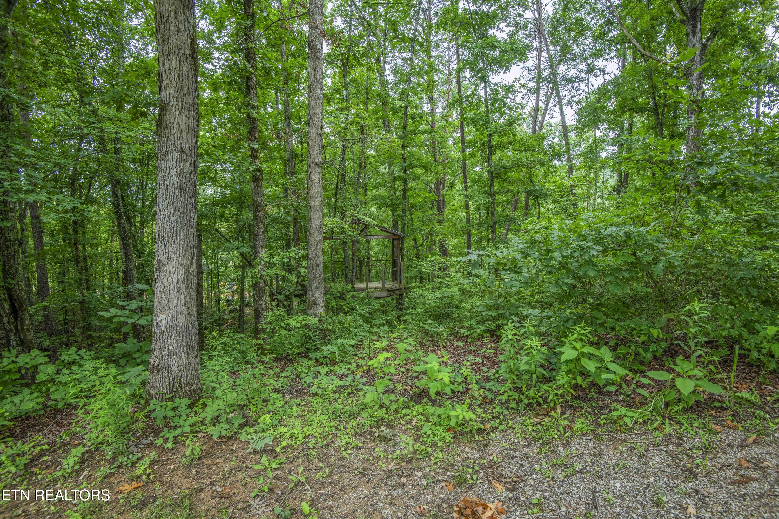 123 Southlake Drive Kingston TN 37763