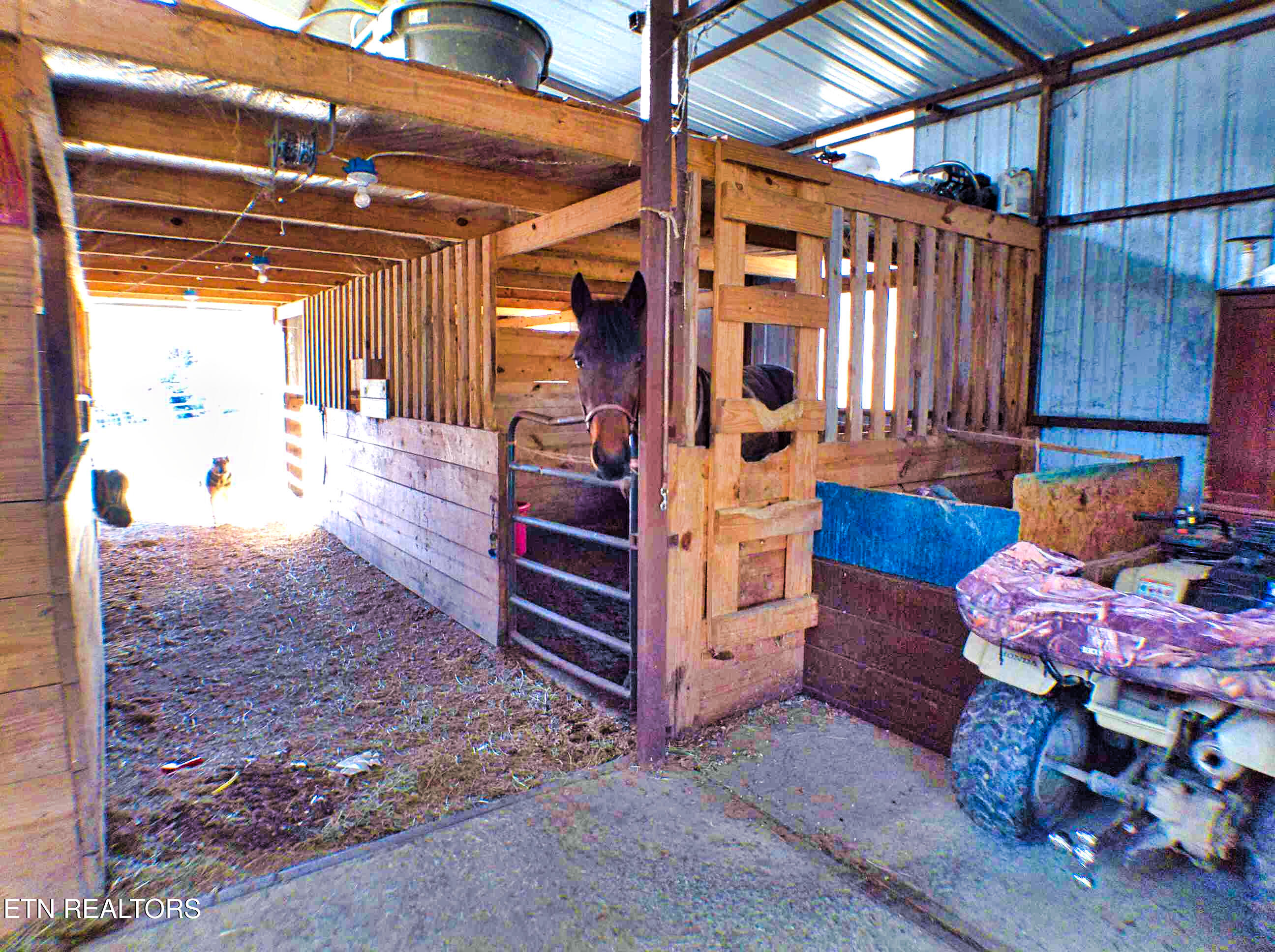 128 Knepp Road Deer Lodge TN 37726