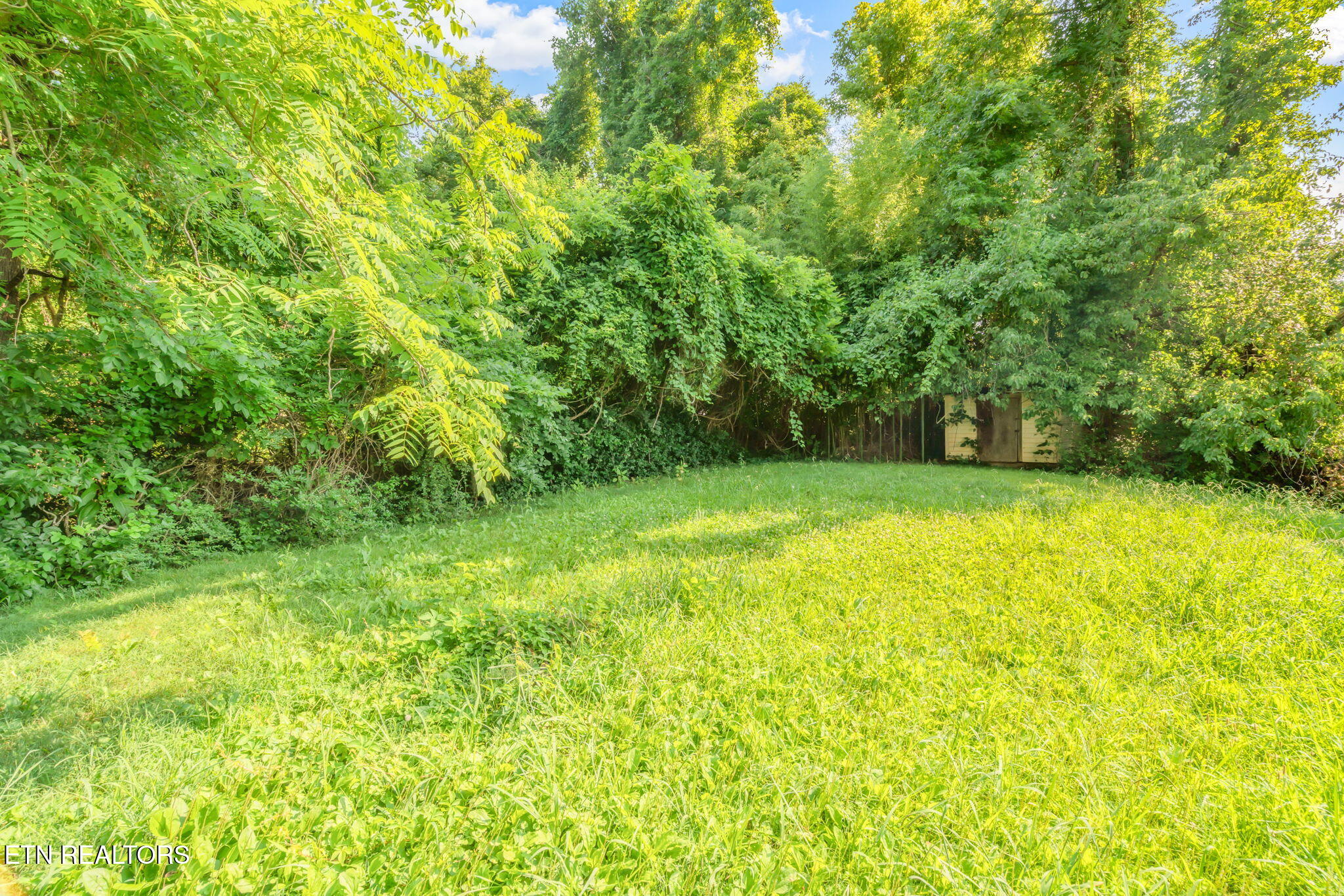 1041 SW Spring Drive Knoxville TN 37920