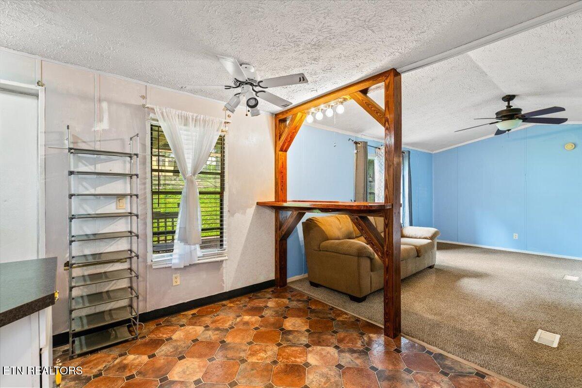 166 Andrew Lane Jacksboro TN 37757