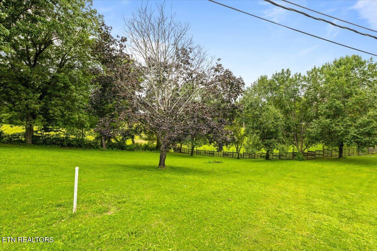 166 Andrew Lane Jacksboro TN 37757