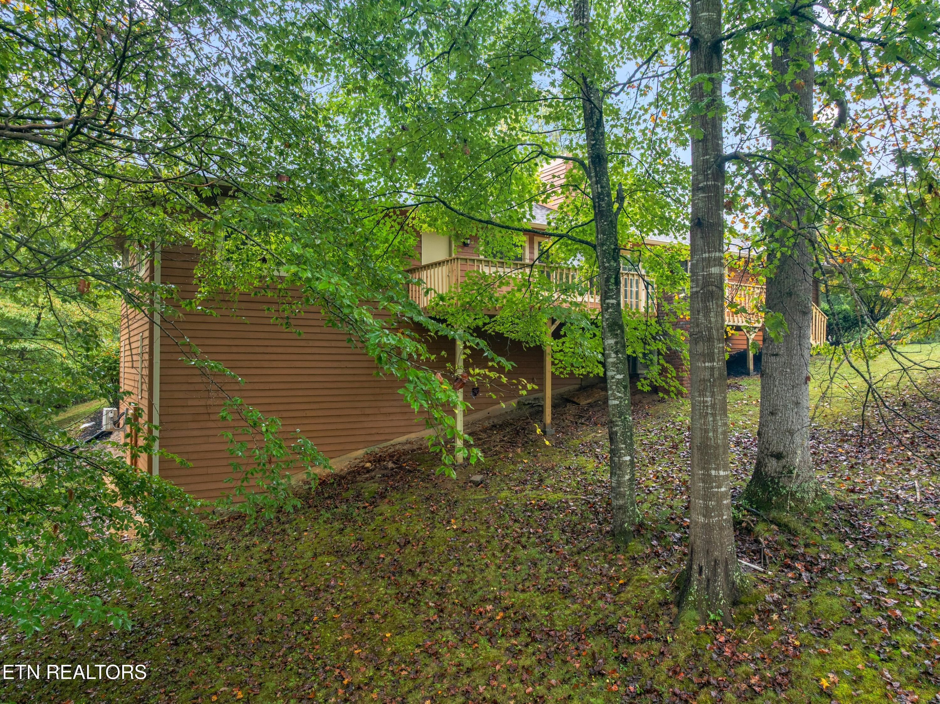 3320 Hazelwood Court Baneberry TN 37890