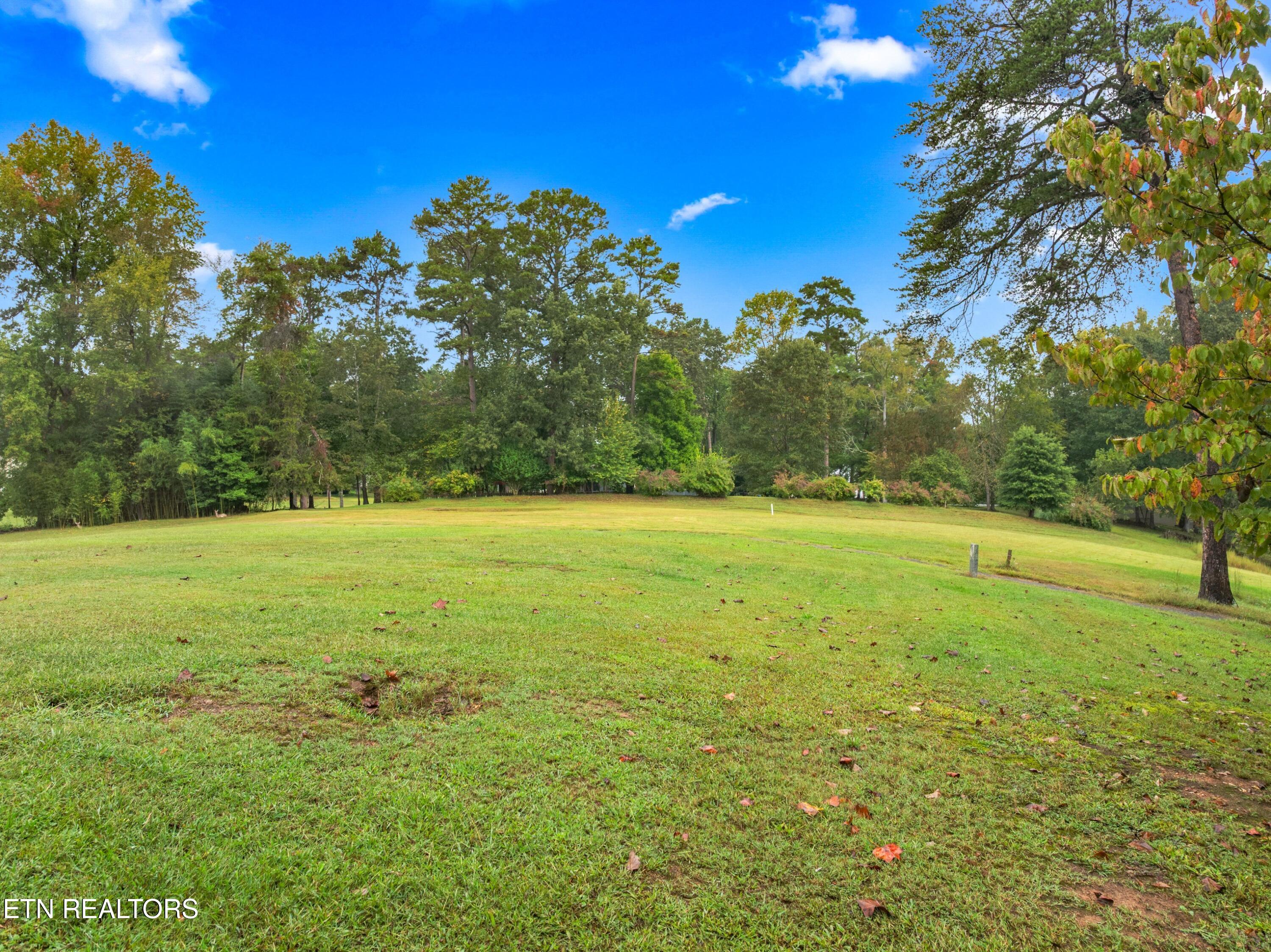 3320 Hazelwood Court Baneberry TN 37890