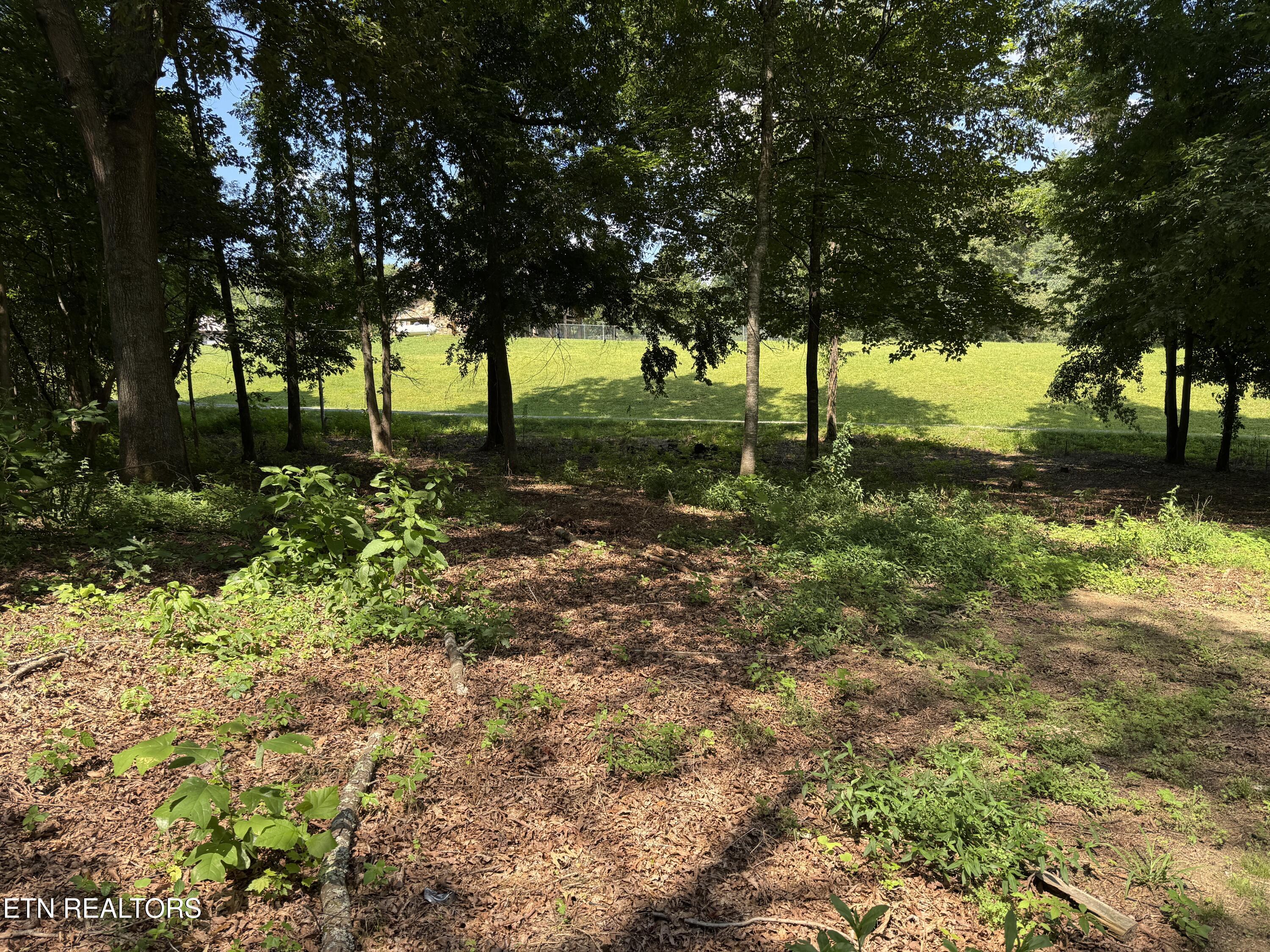 1085 Obes Branch Road Sevierville TN 37876