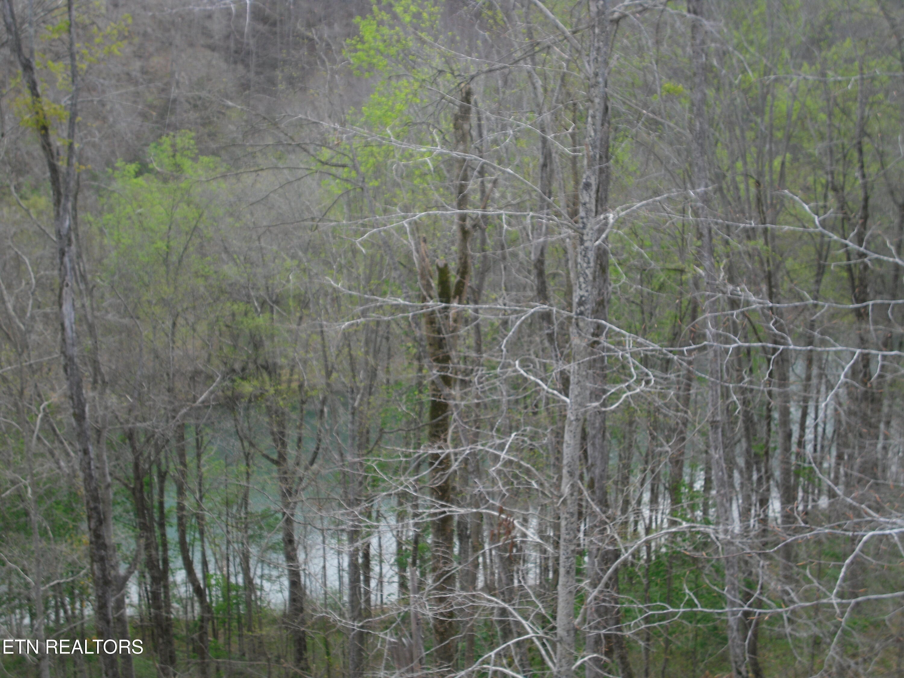 2520 Riverton Road Jamestown TN 38556