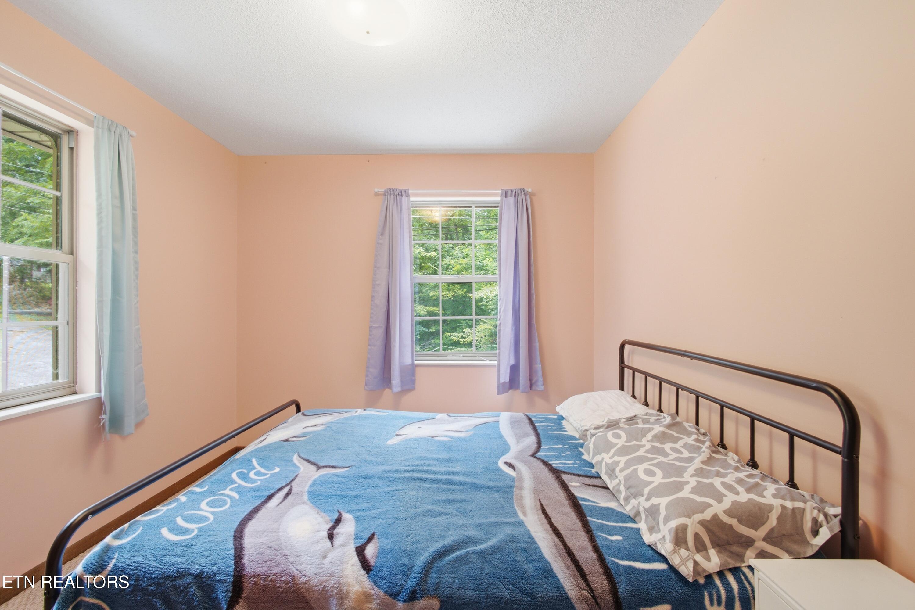 145 Green Hill Drive Vonore TN 37885