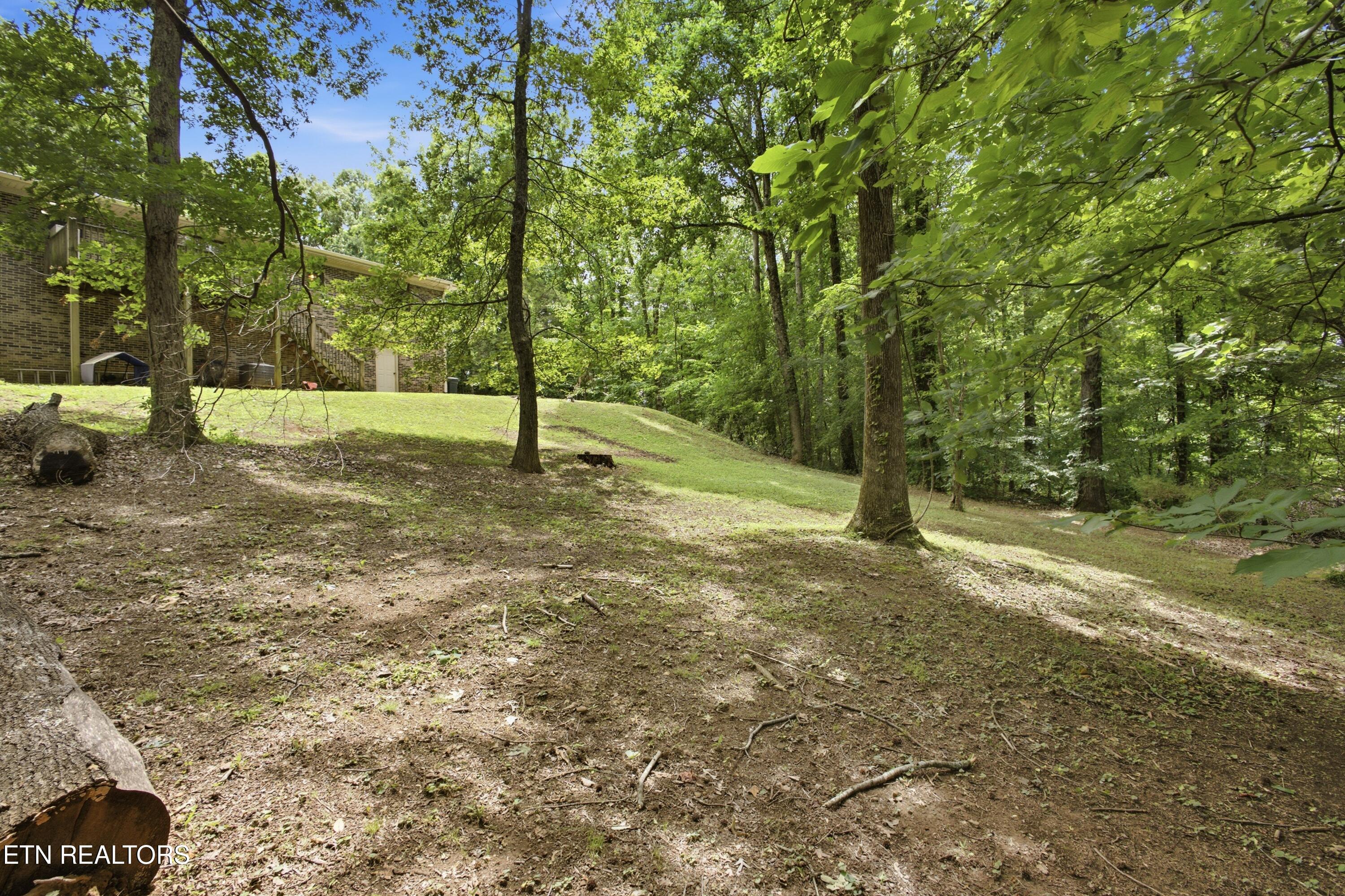 145 Green Hill Drive Vonore TN 37885