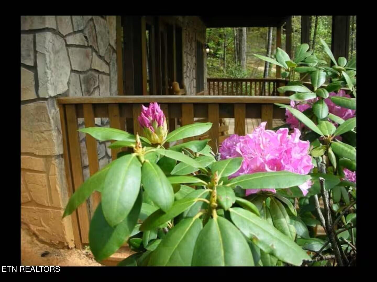 749 Yona Trail Way Gatlinburg TN 37738