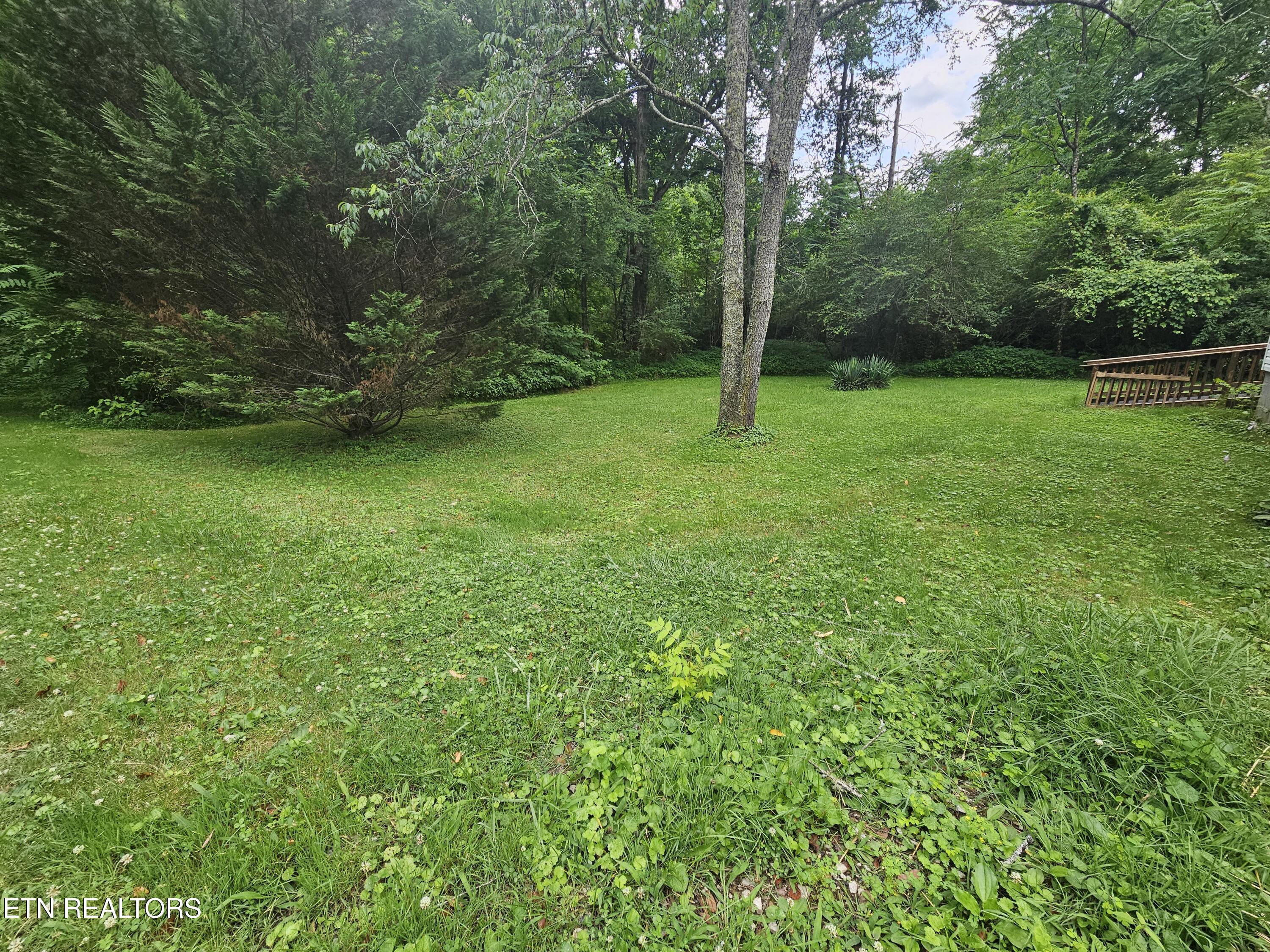220 Willis Lane Clairfield TN 37715