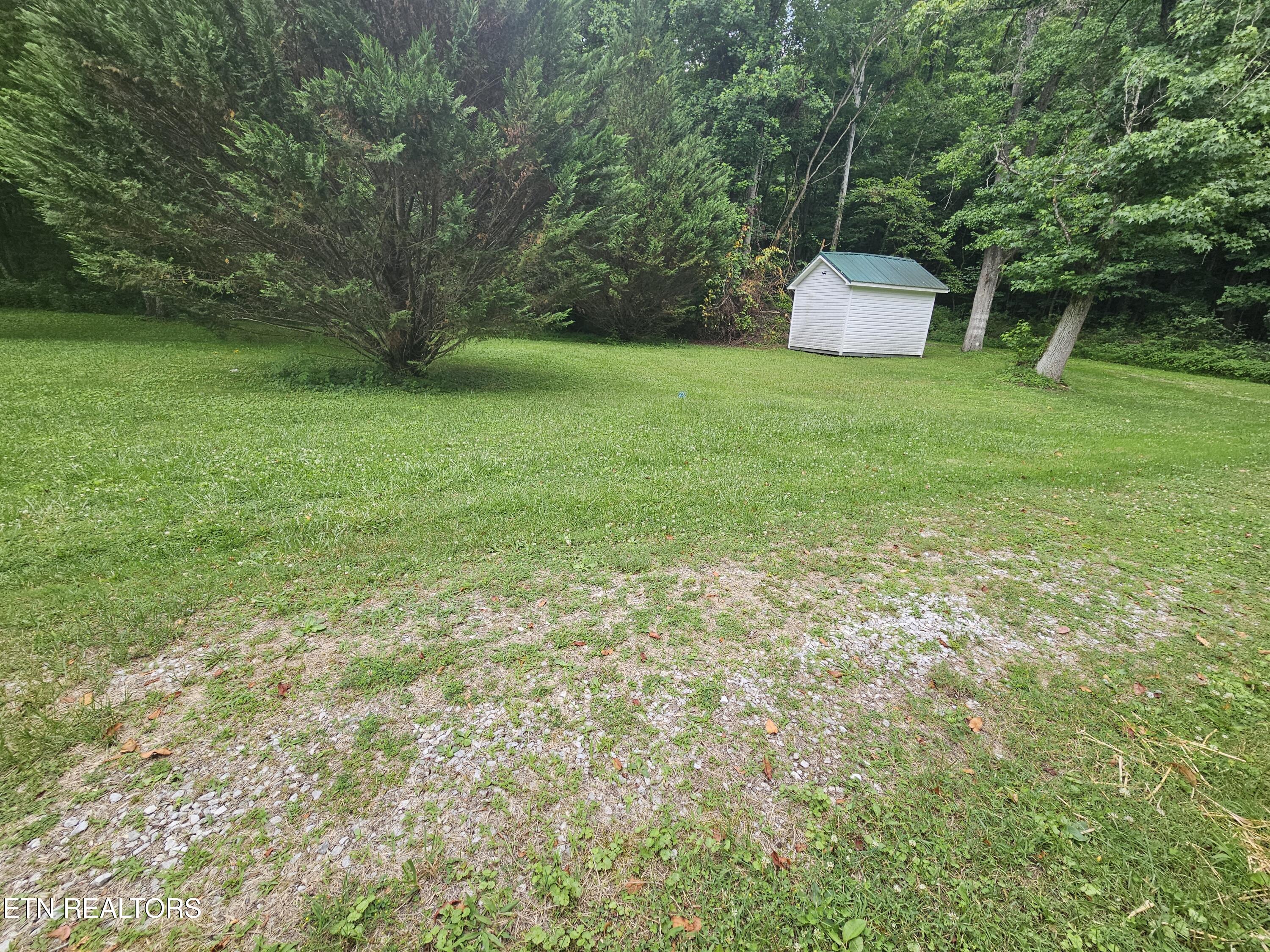 220 Willis Lane Clairfield TN 37715