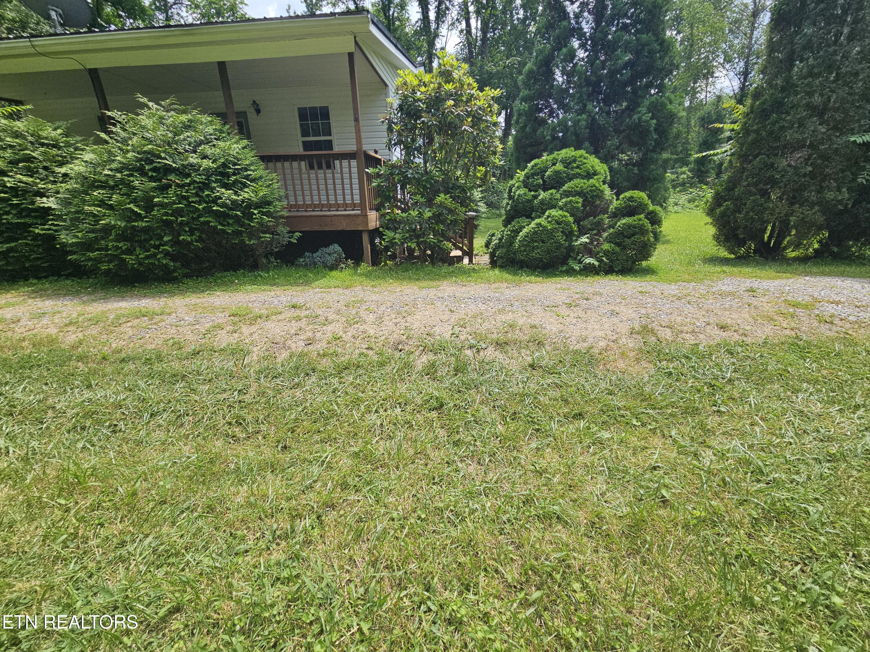 220 Willis Lane Clairfield TN 37715