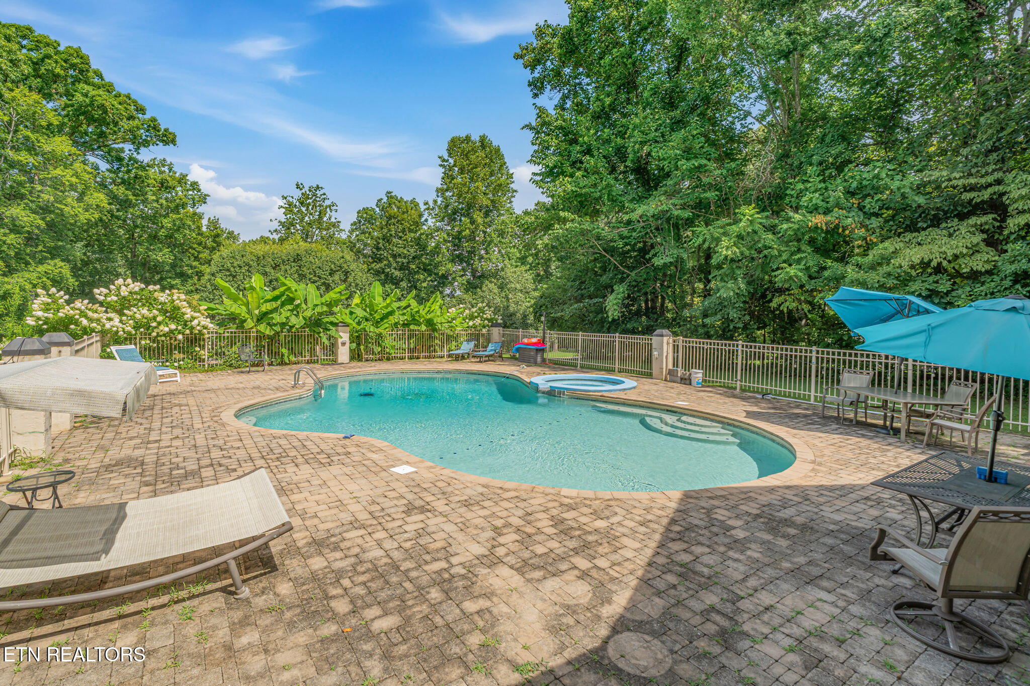 8708 Pedigo Ridge Way Powell TN 37849