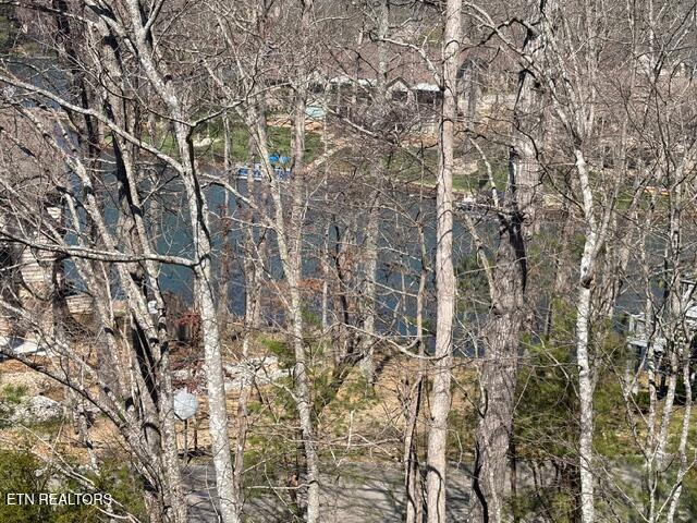 58 Brummel Lane Crossville TN 38558