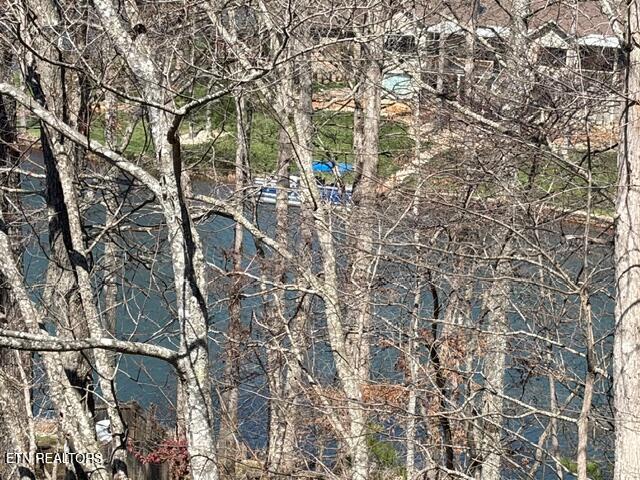 58 Brummel Lane Crossville TN 38558