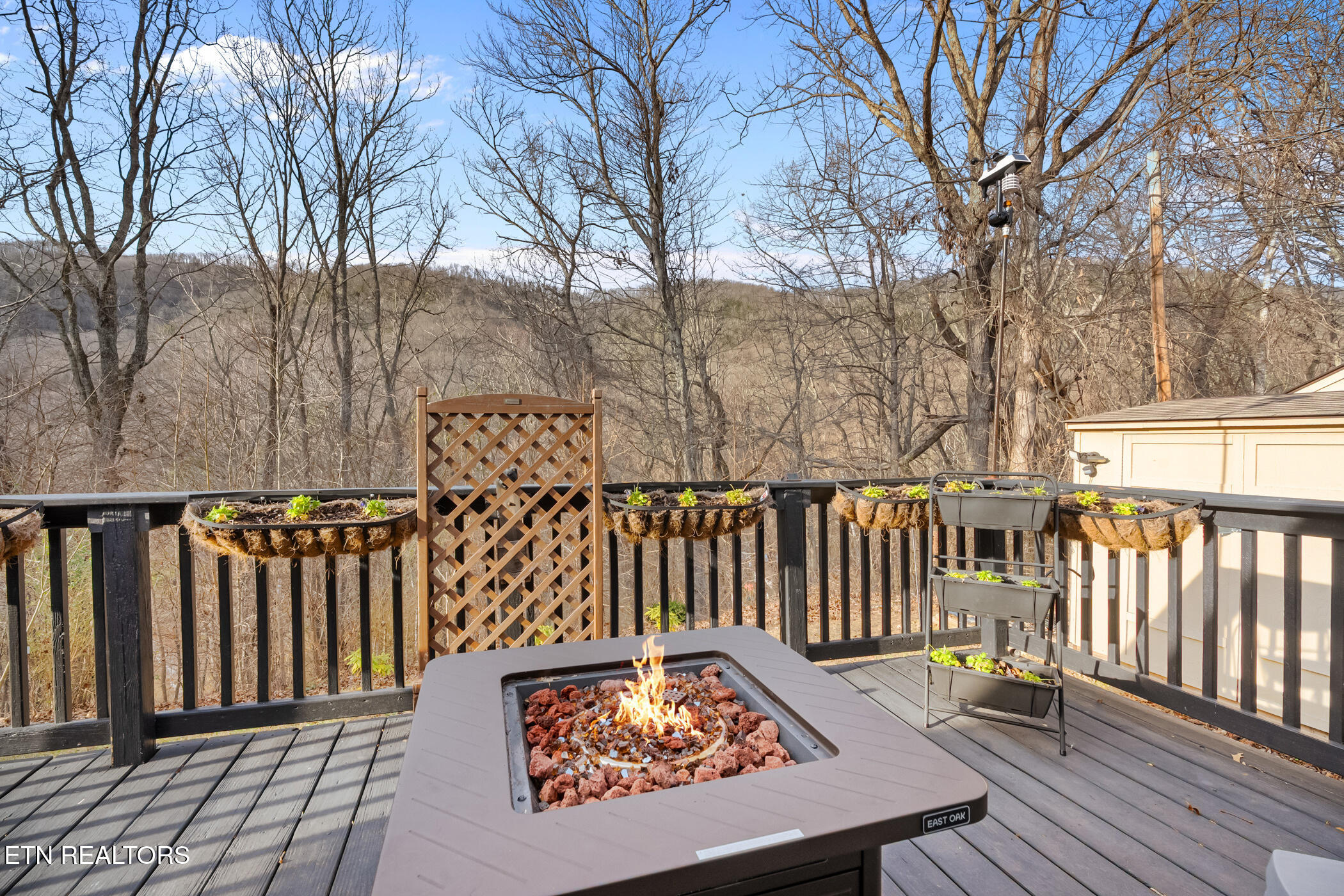 121 Rosemont Lane Harriman TN 37748
