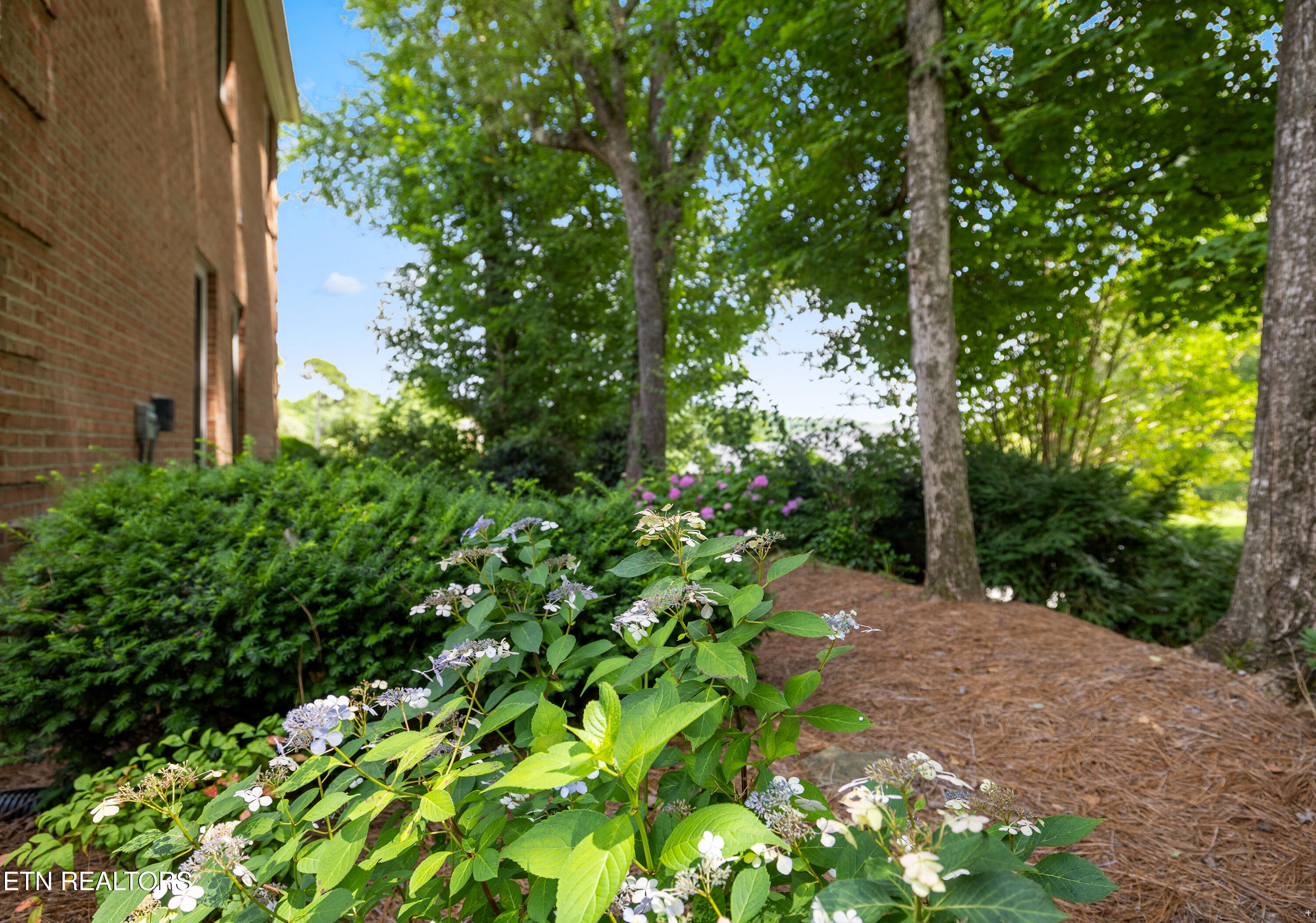 1609 Botsford Drive Knoxville TN 37922