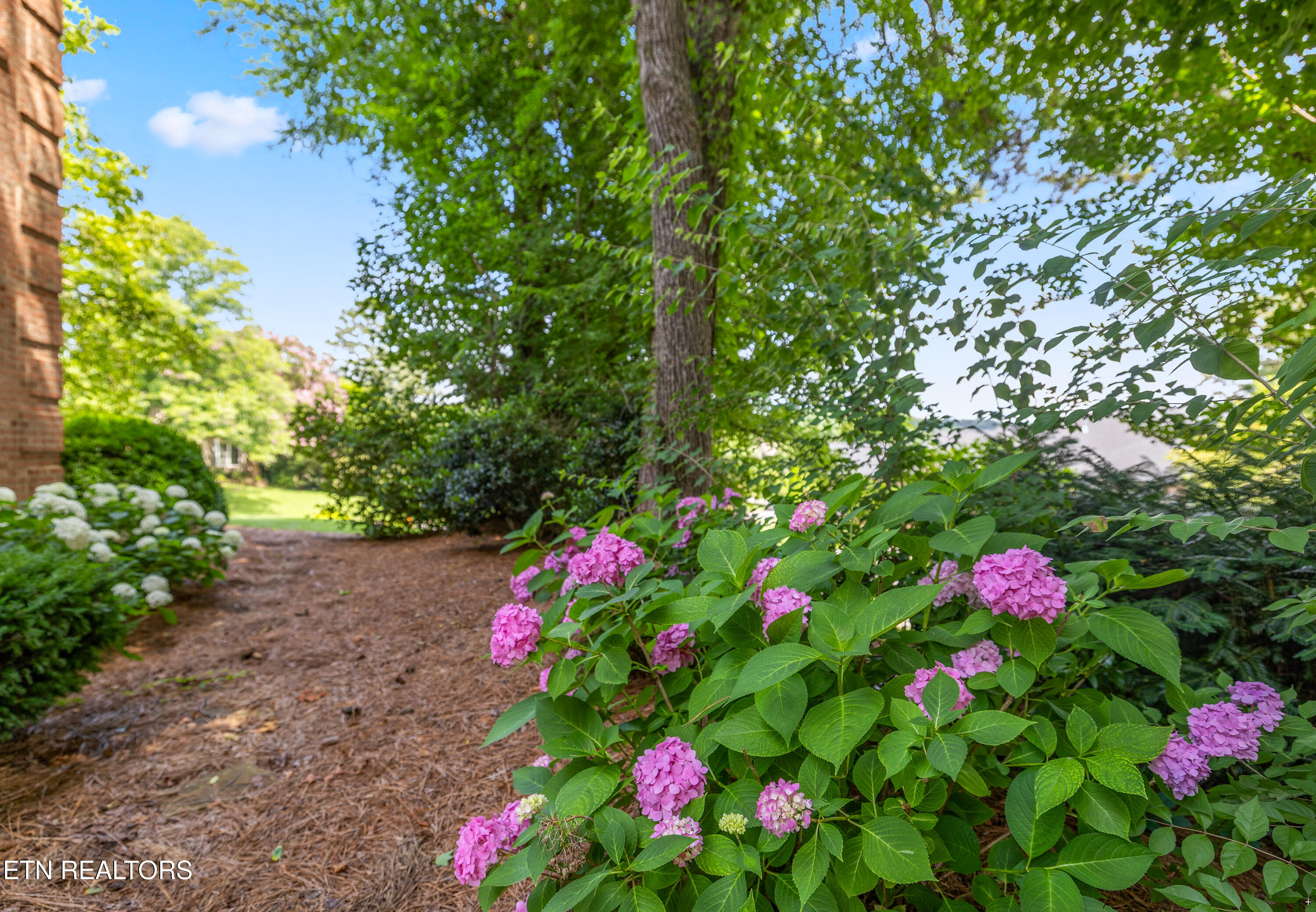 1609 Botsford Drive Knoxville TN 37922