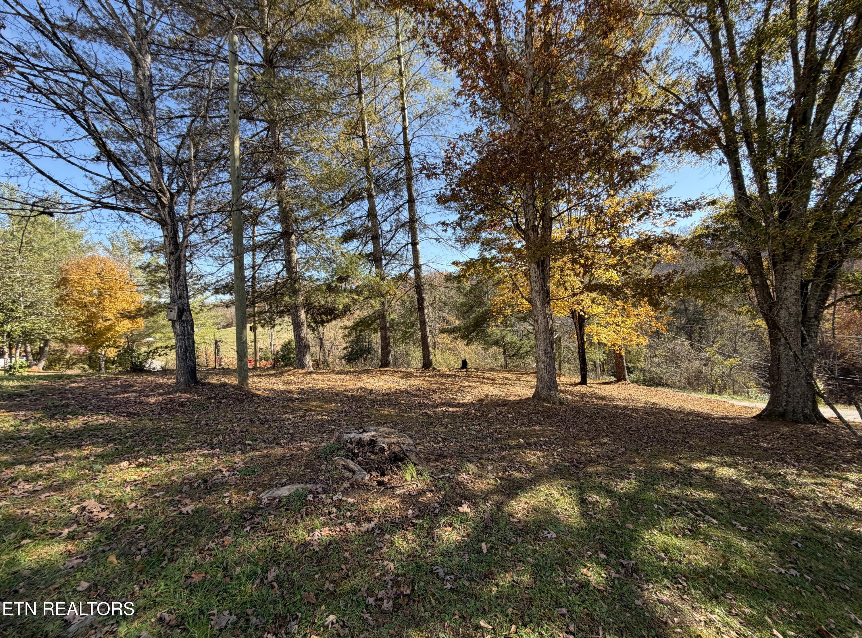 517 Bull Run Road Luttrell TN 37779
