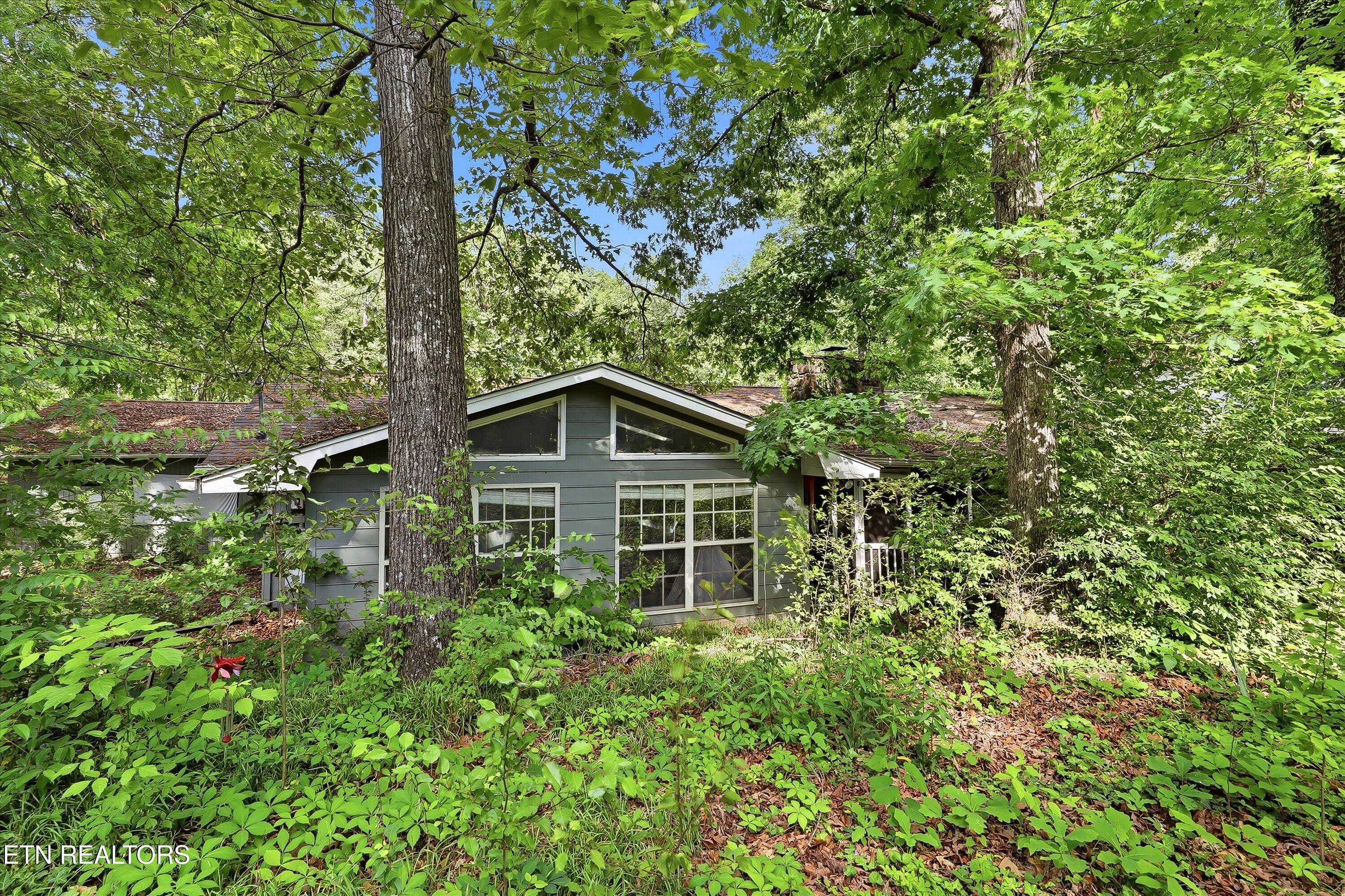 7941 Castlecomb Road Powell TN 37849