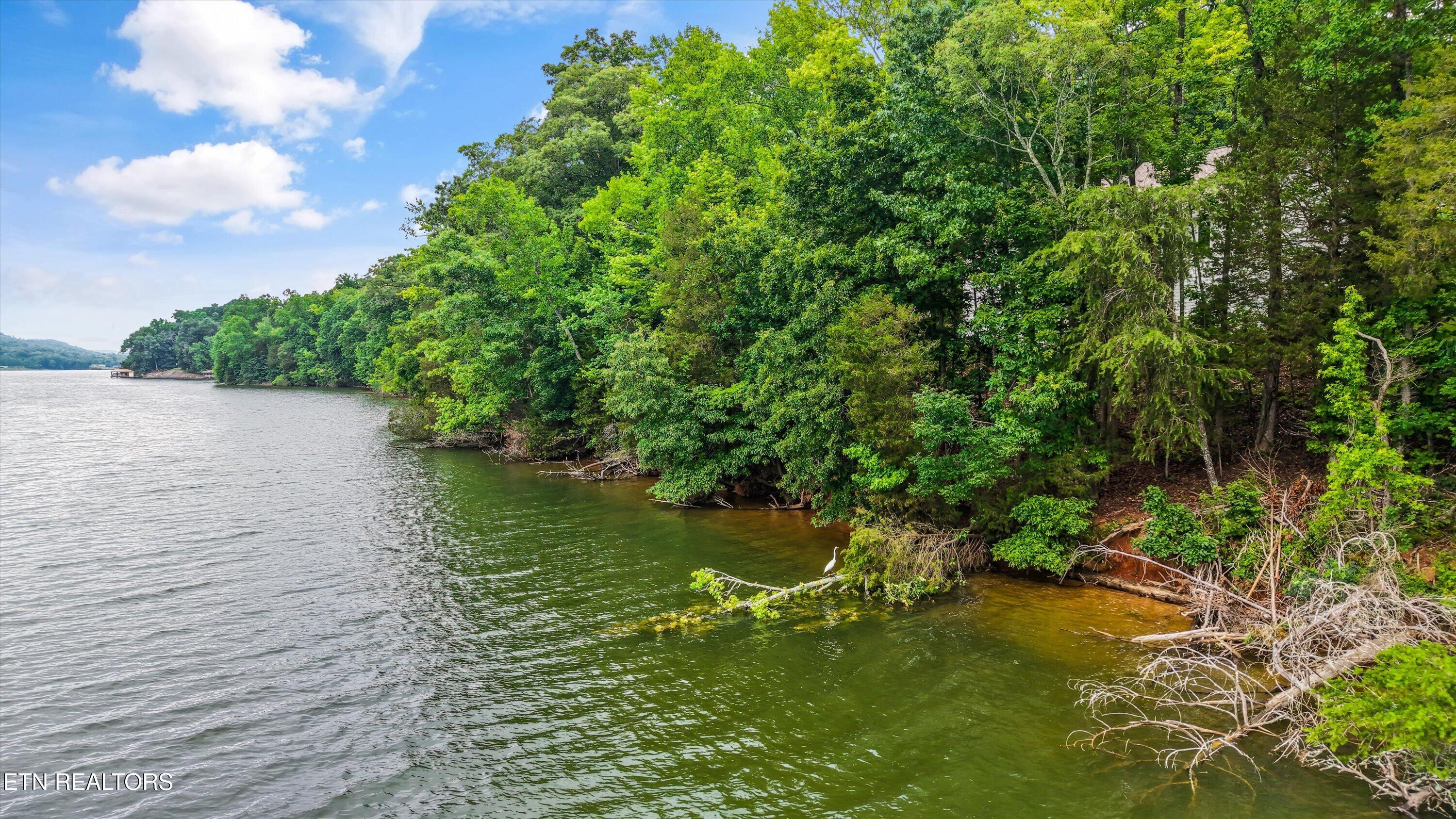 243 E Shore Drive Rockwood TN 37854