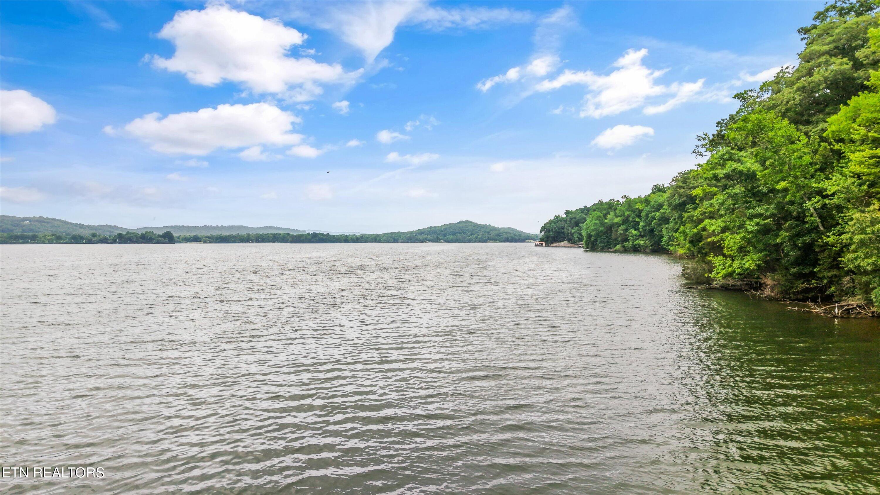 243 E Shore Drive Rockwood TN 37854