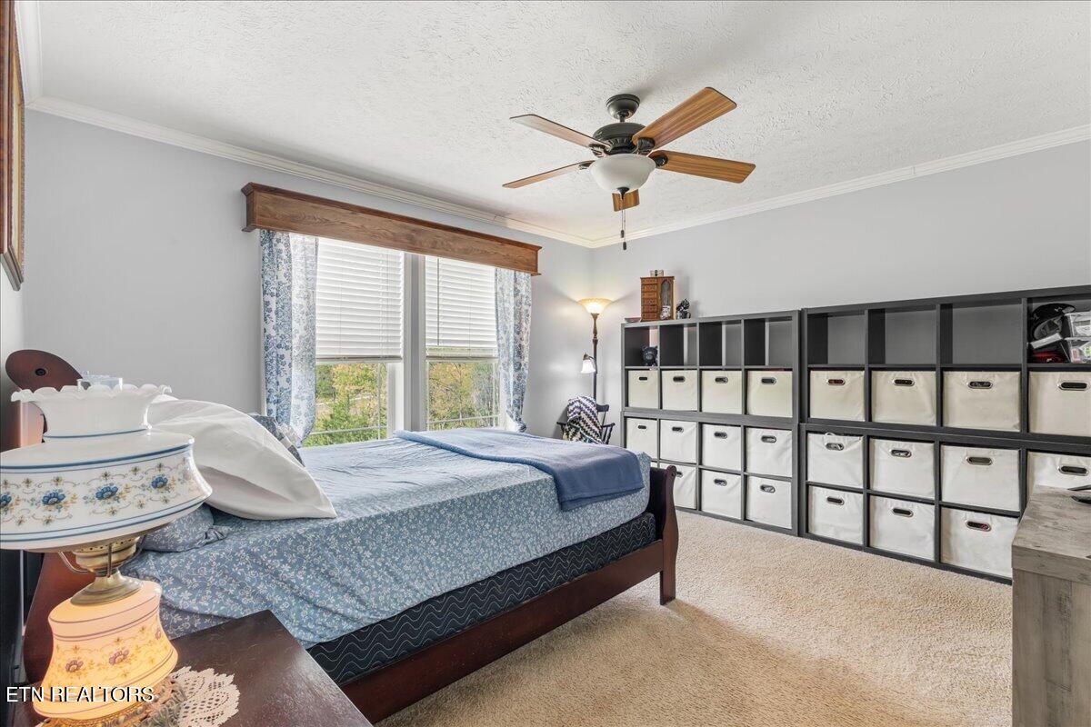 217 Countryside Lane Madisonville TN 37354