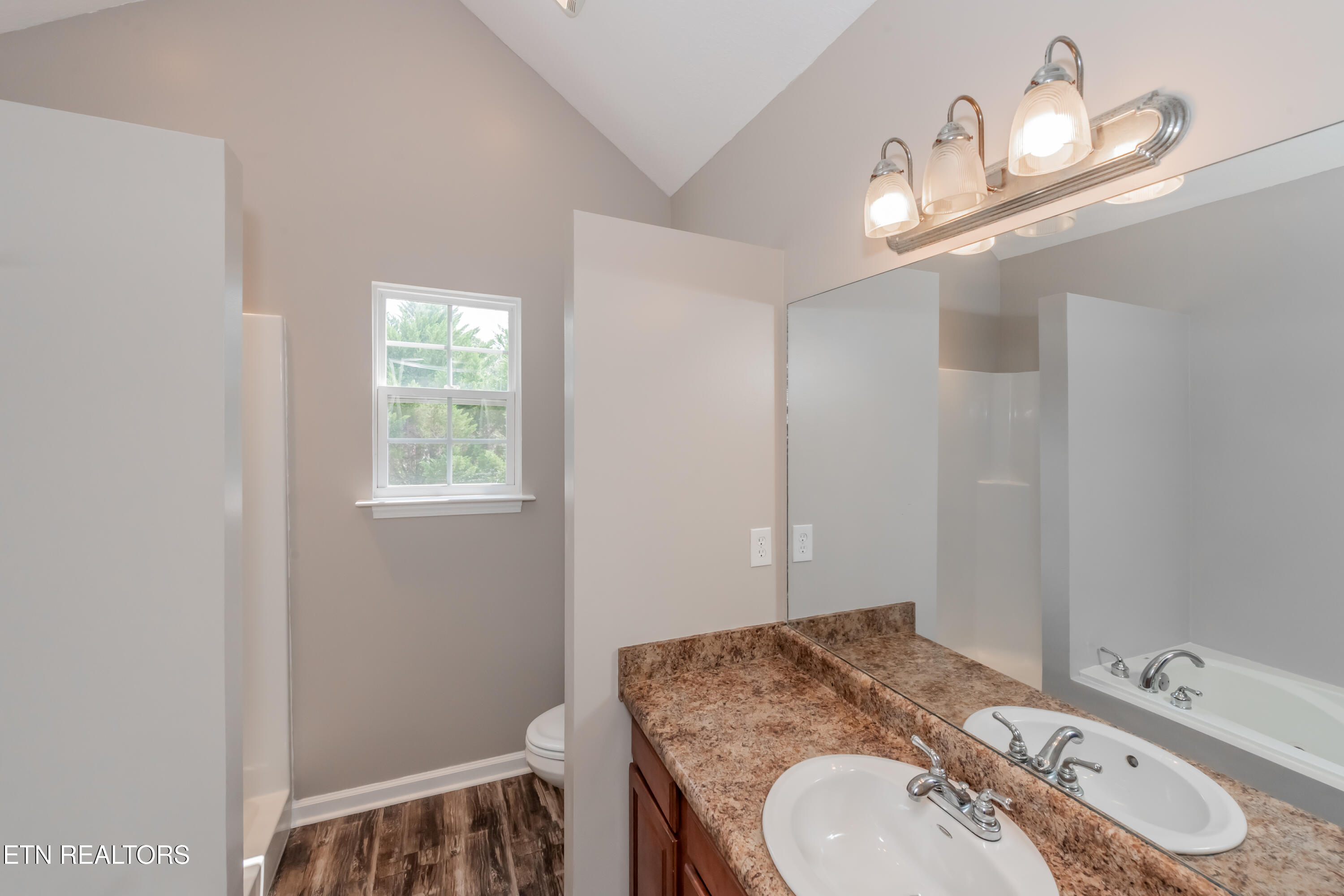 729 Chamberlain Manor Way Knoxville TN 37920