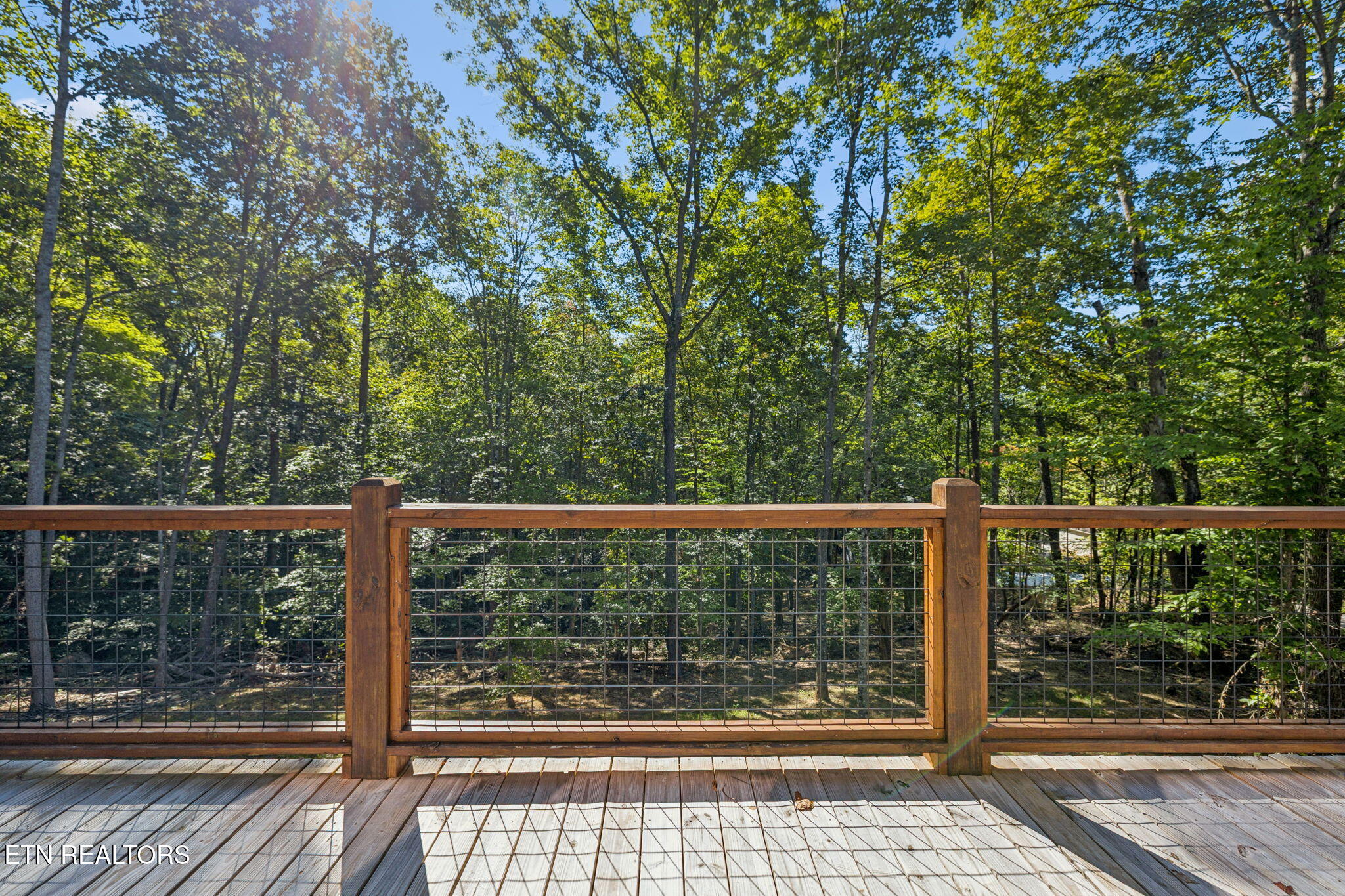 717 Country Oaks Lane Lafollette TN 37766