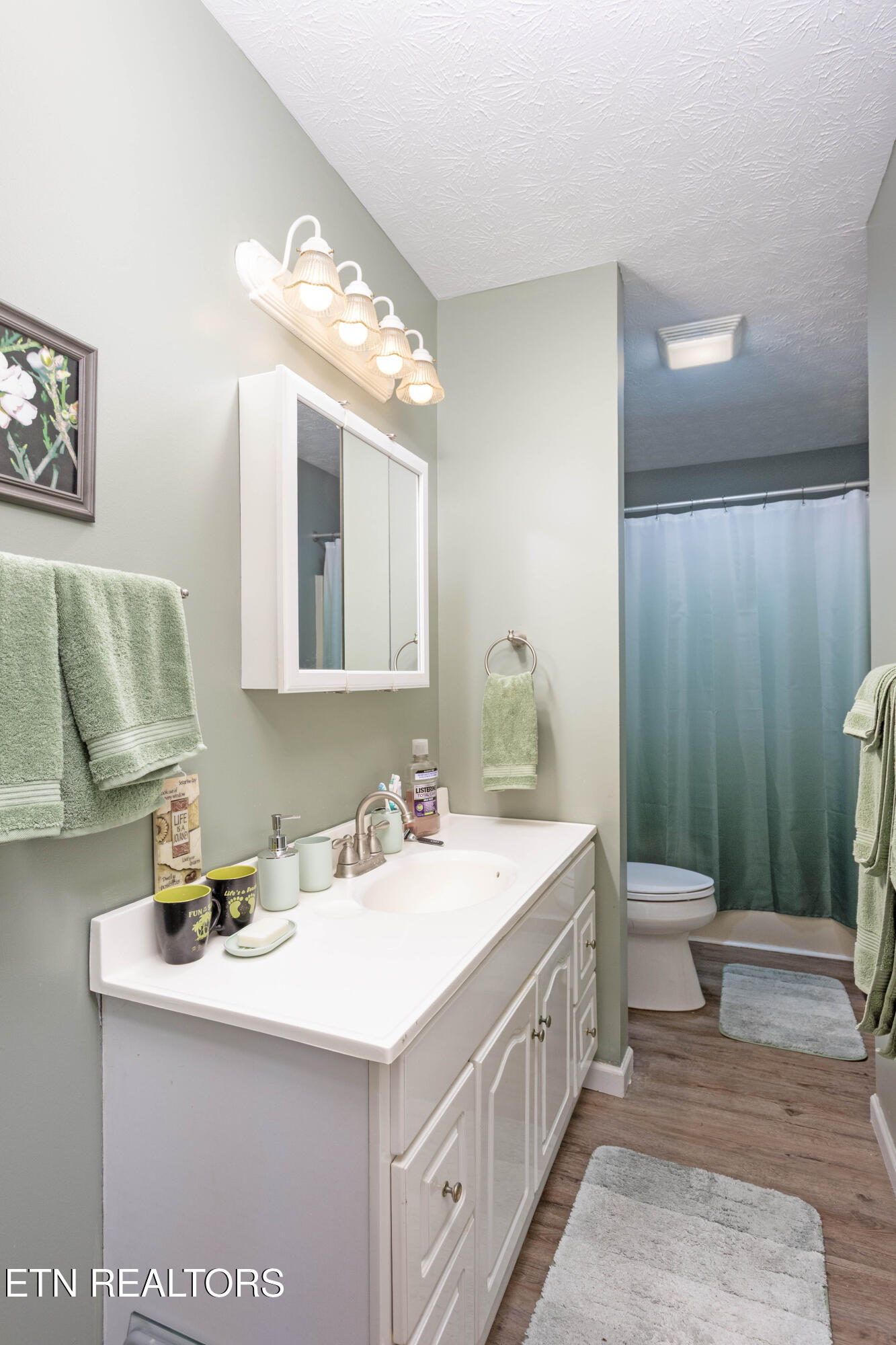 1174 Crosby Lane Spring City TN 37381