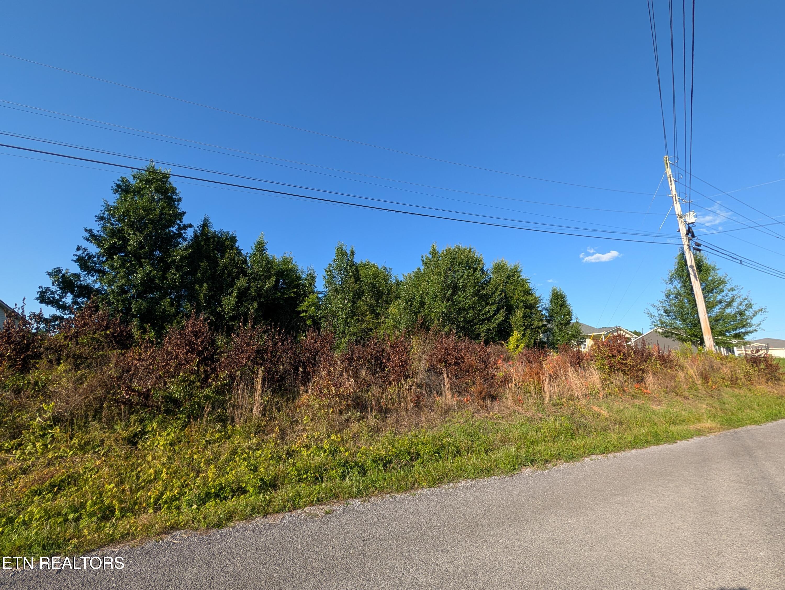 1174 Crosby Lane Spring City TN 37381