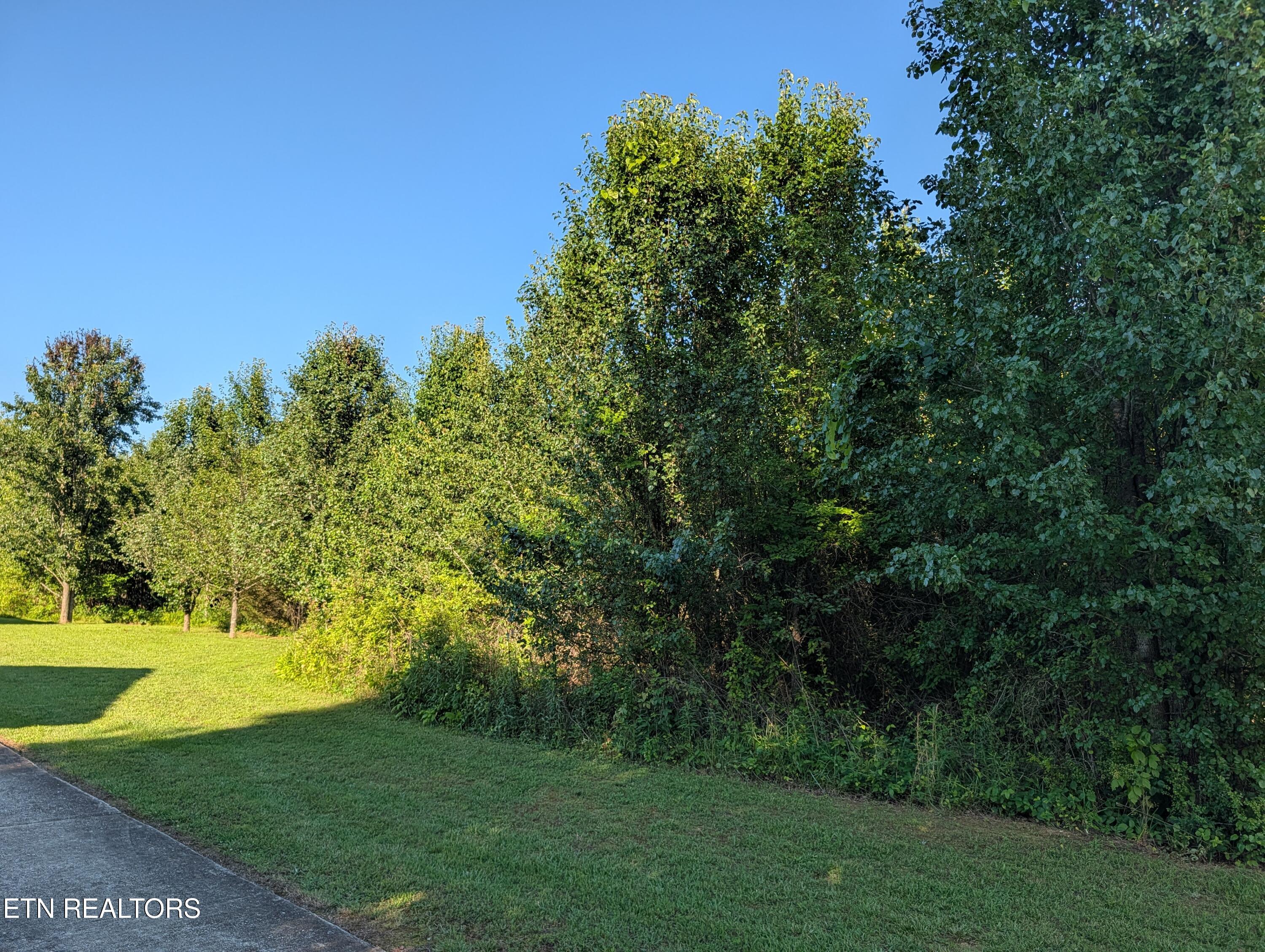 1174 Crosby Lane Spring City TN 37381