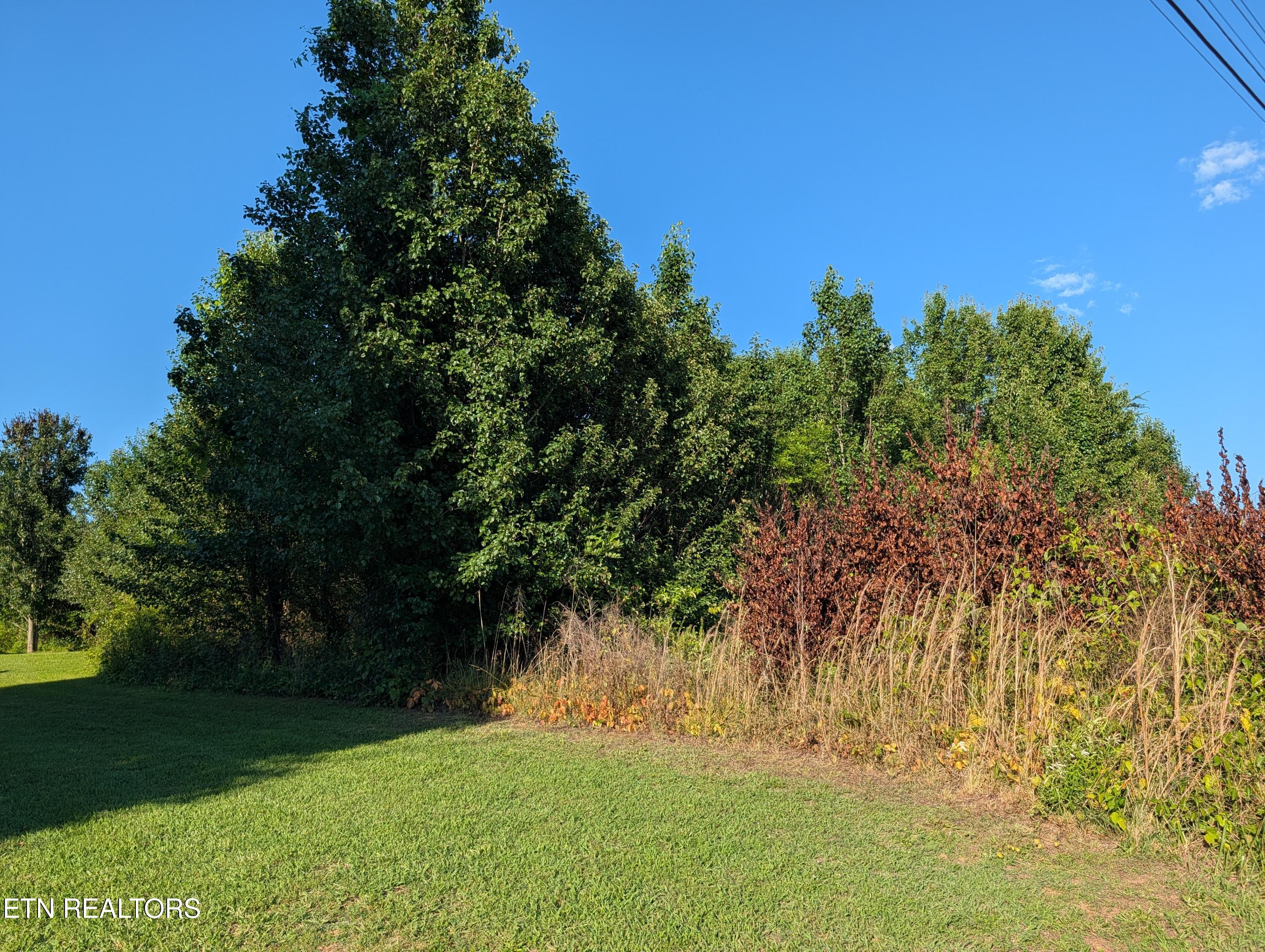 1174 Crosby Lane Spring City TN 37381