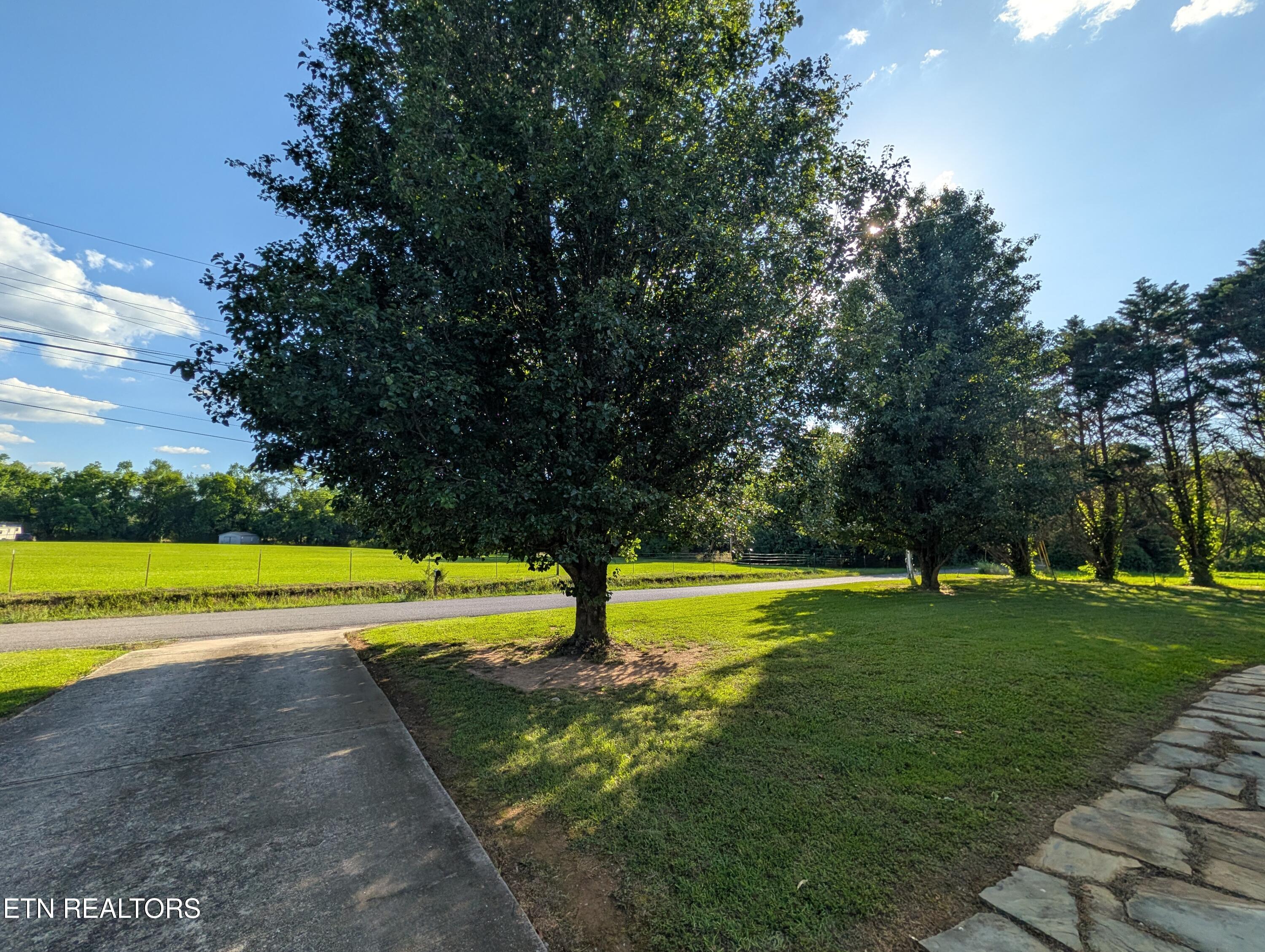 1174 Crosby Lane Spring City TN 37381
