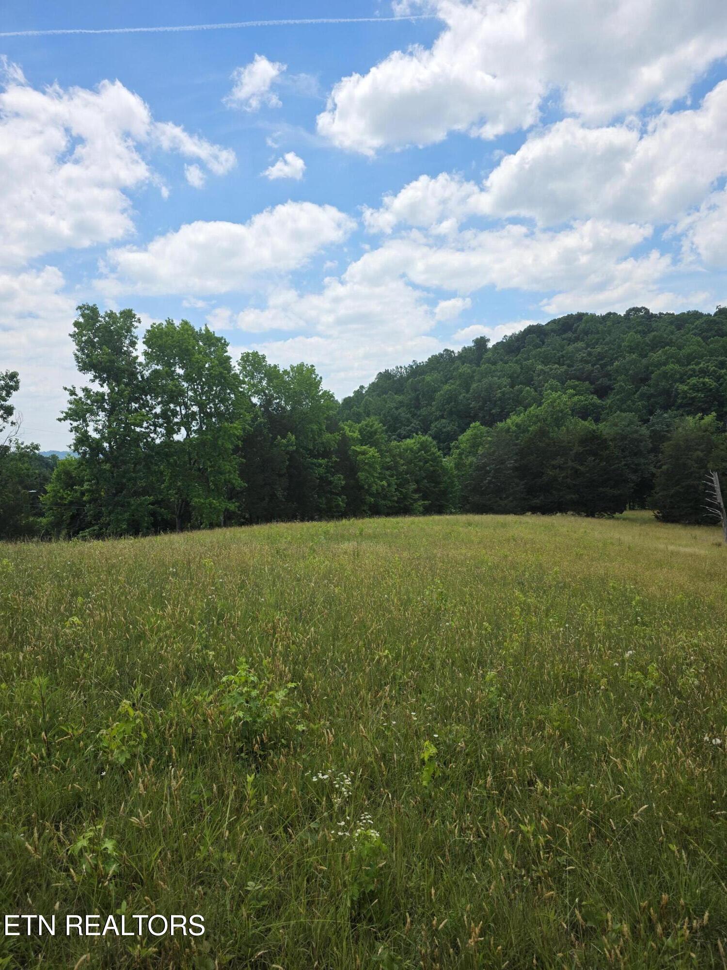 8050 Lett Road Corryton TN 37721