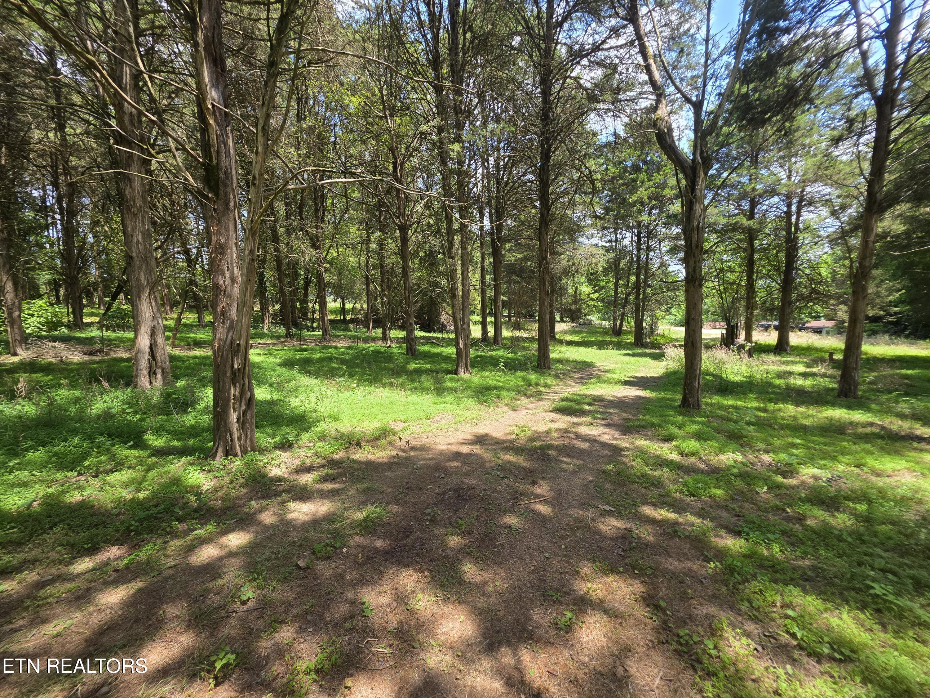 8050 Lett Road Corryton TN 37721