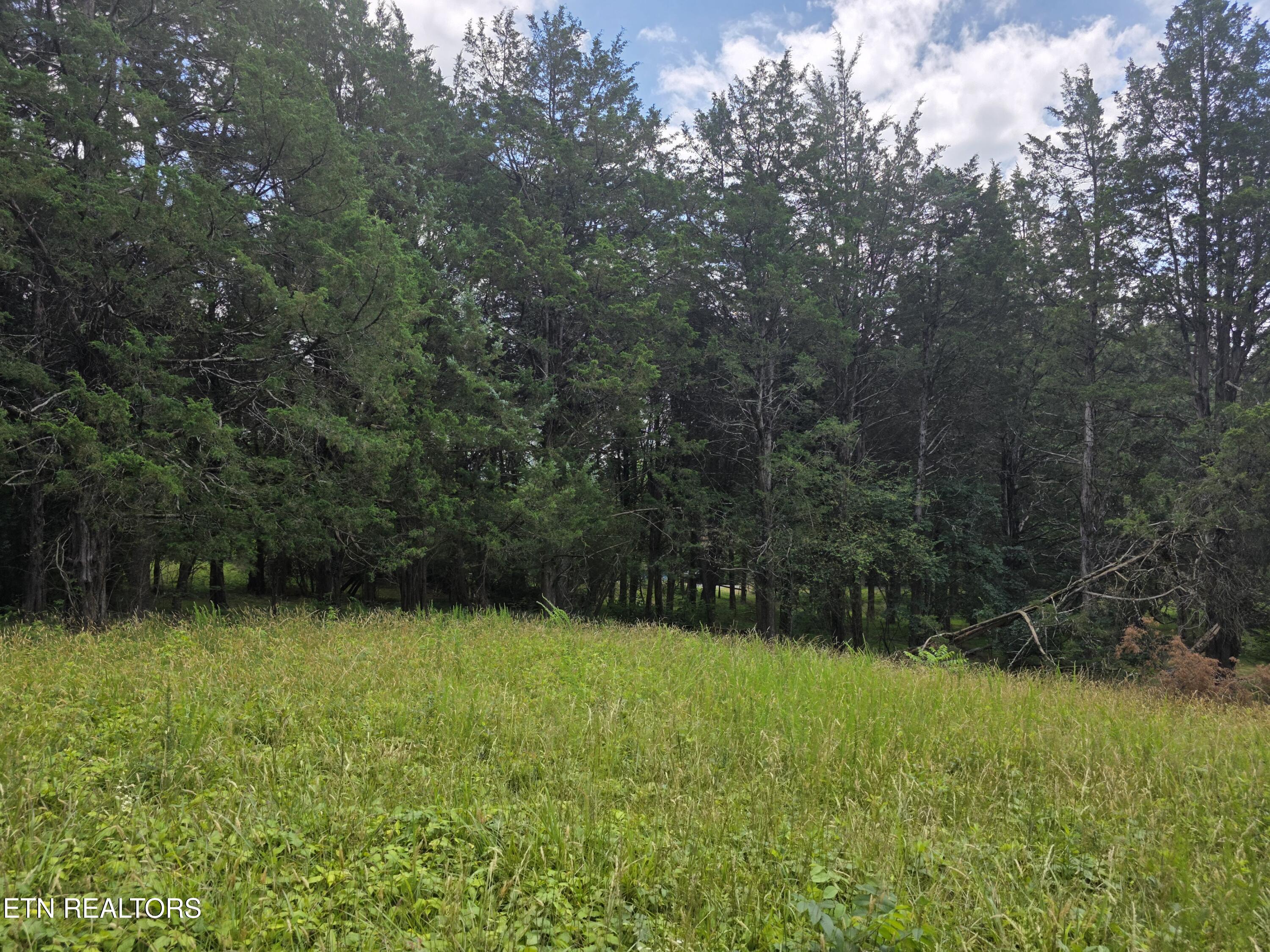 8050 Lett Road Corryton TN 37721