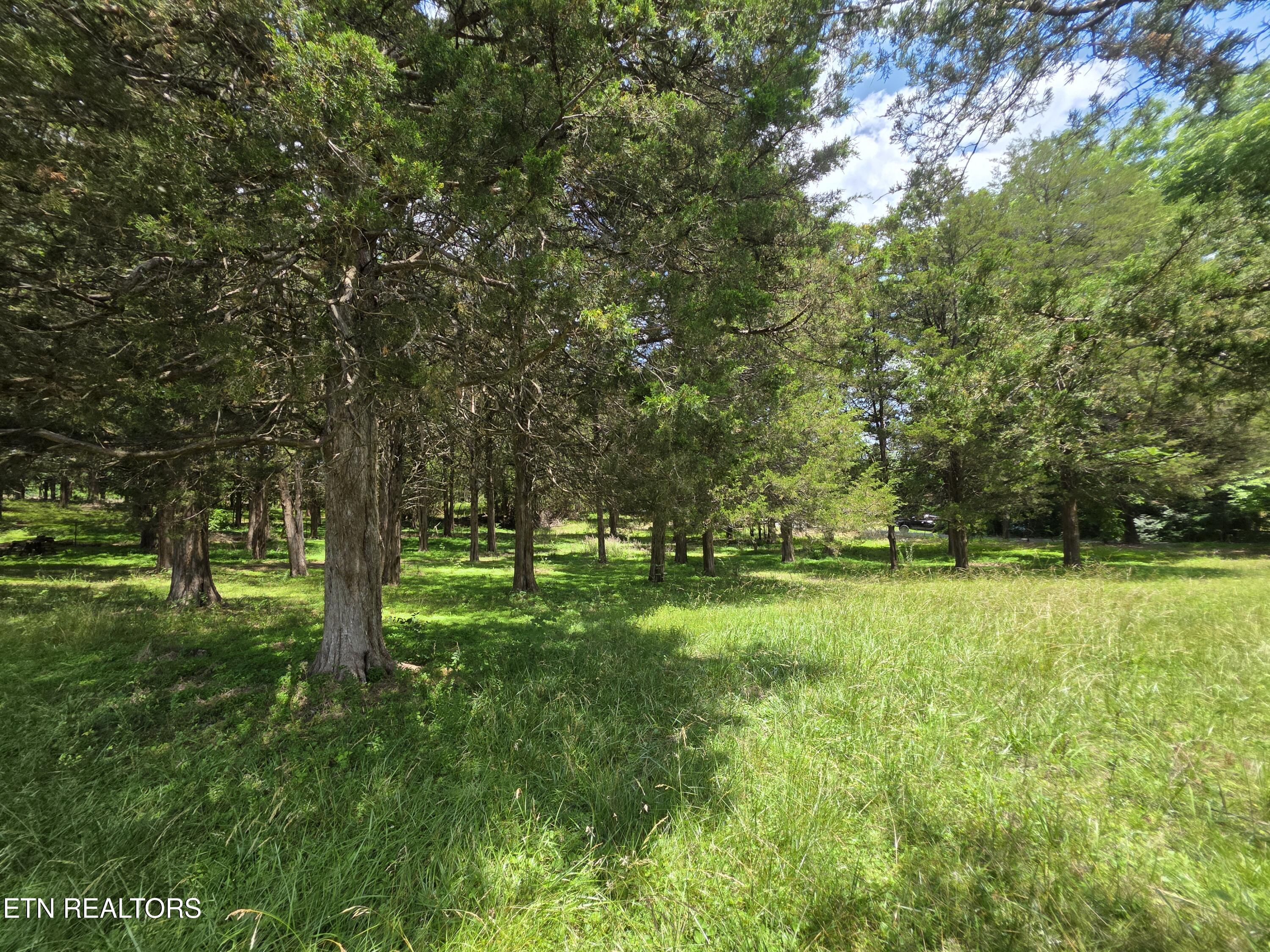 8050 Lett Road Corryton TN 37721