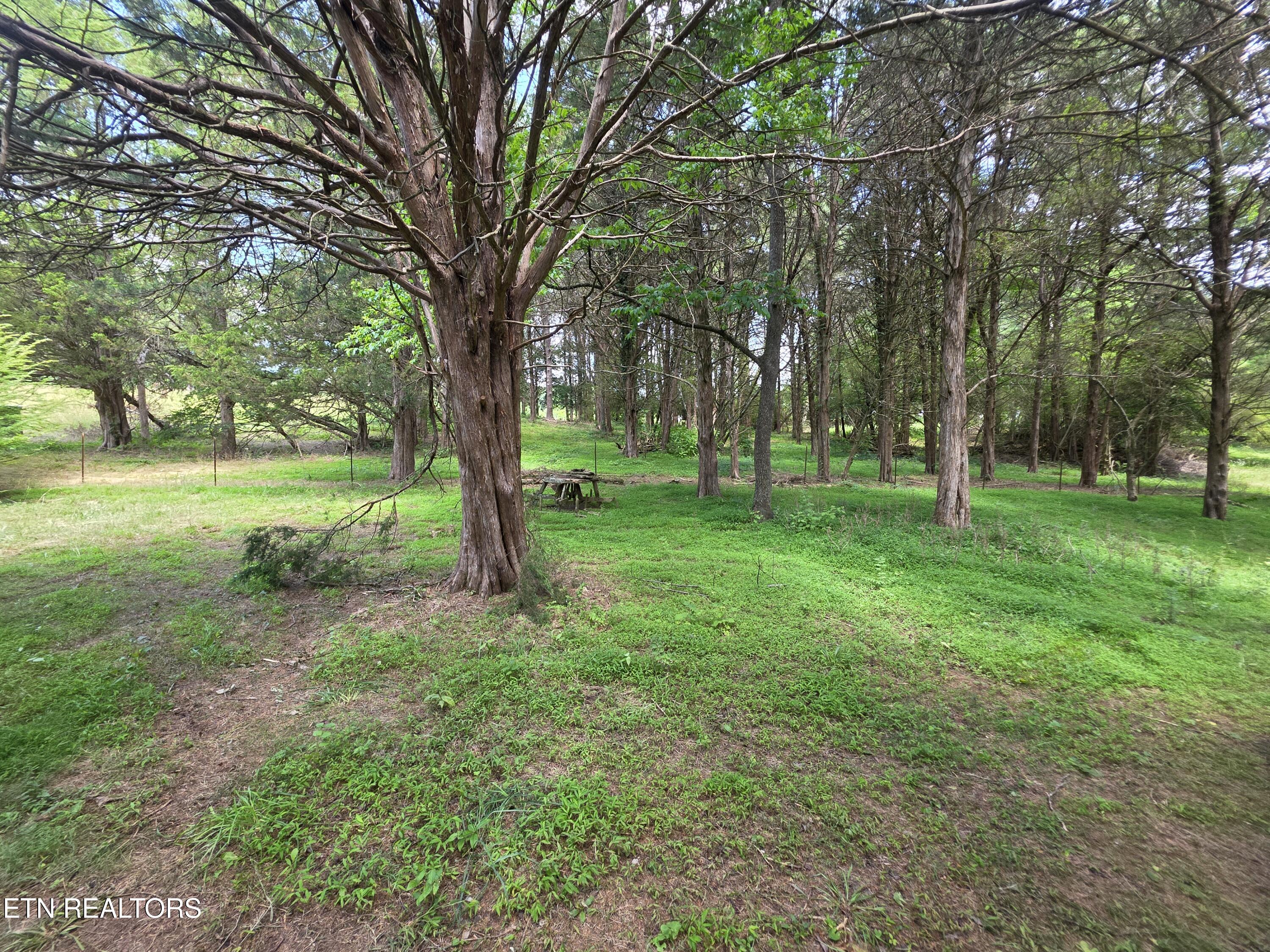 8050 Lett Road Corryton TN 37721