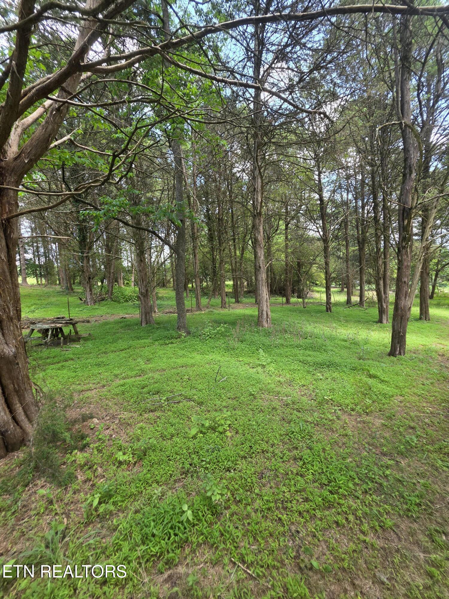 8050 Lett Road Corryton TN 37721