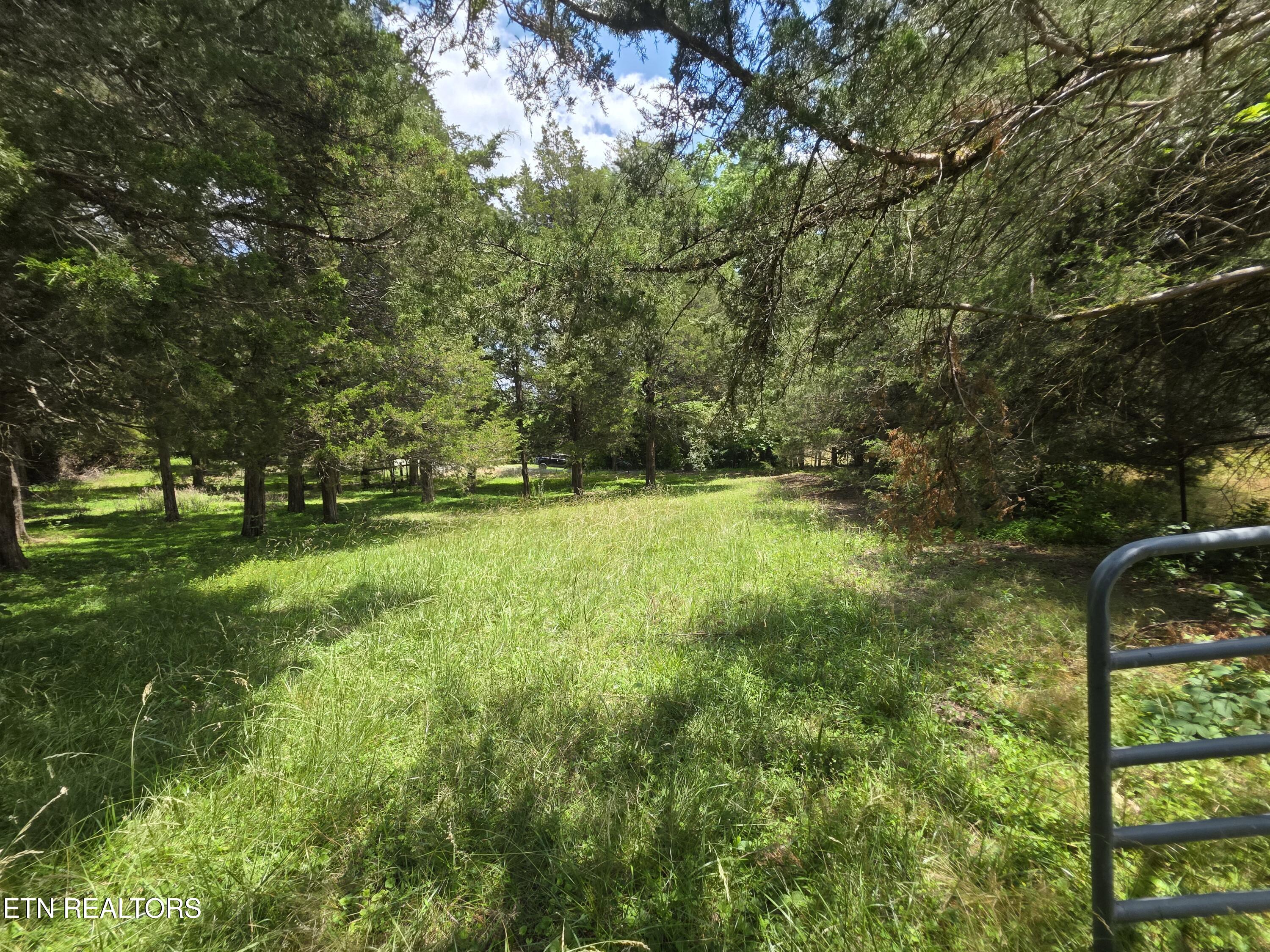 8050 Lett Road Corryton TN 37721