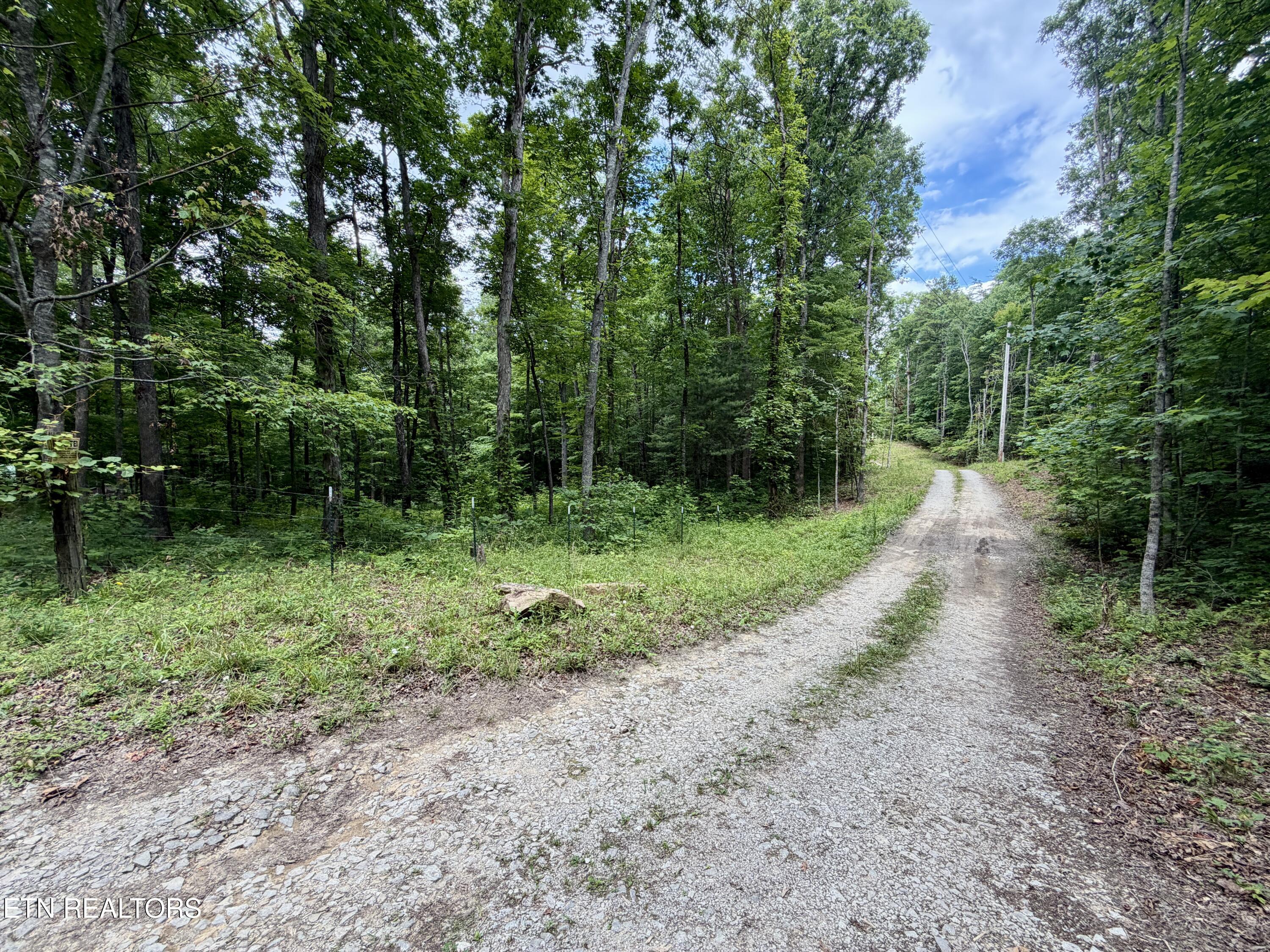 402 Paradise Lane Deer Lodge TN 37726
